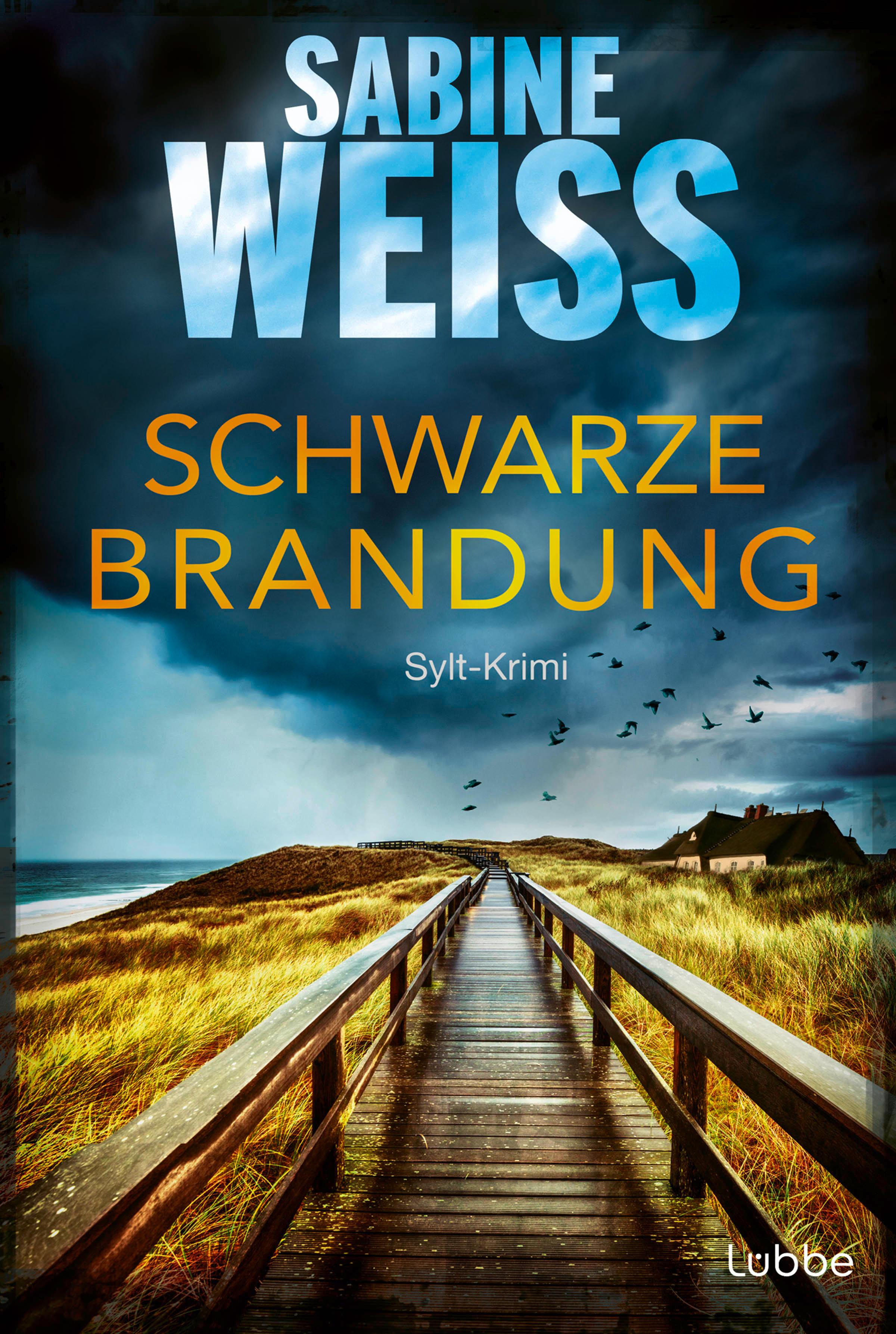 Vorderes Coverbild Schwarze Brandung