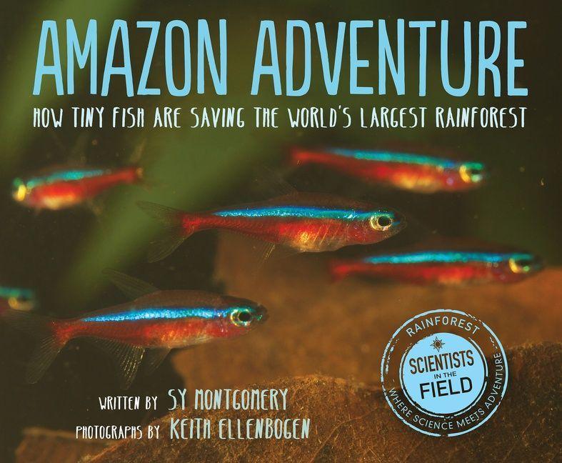 Vorderes Coverbild Amazon Adventure