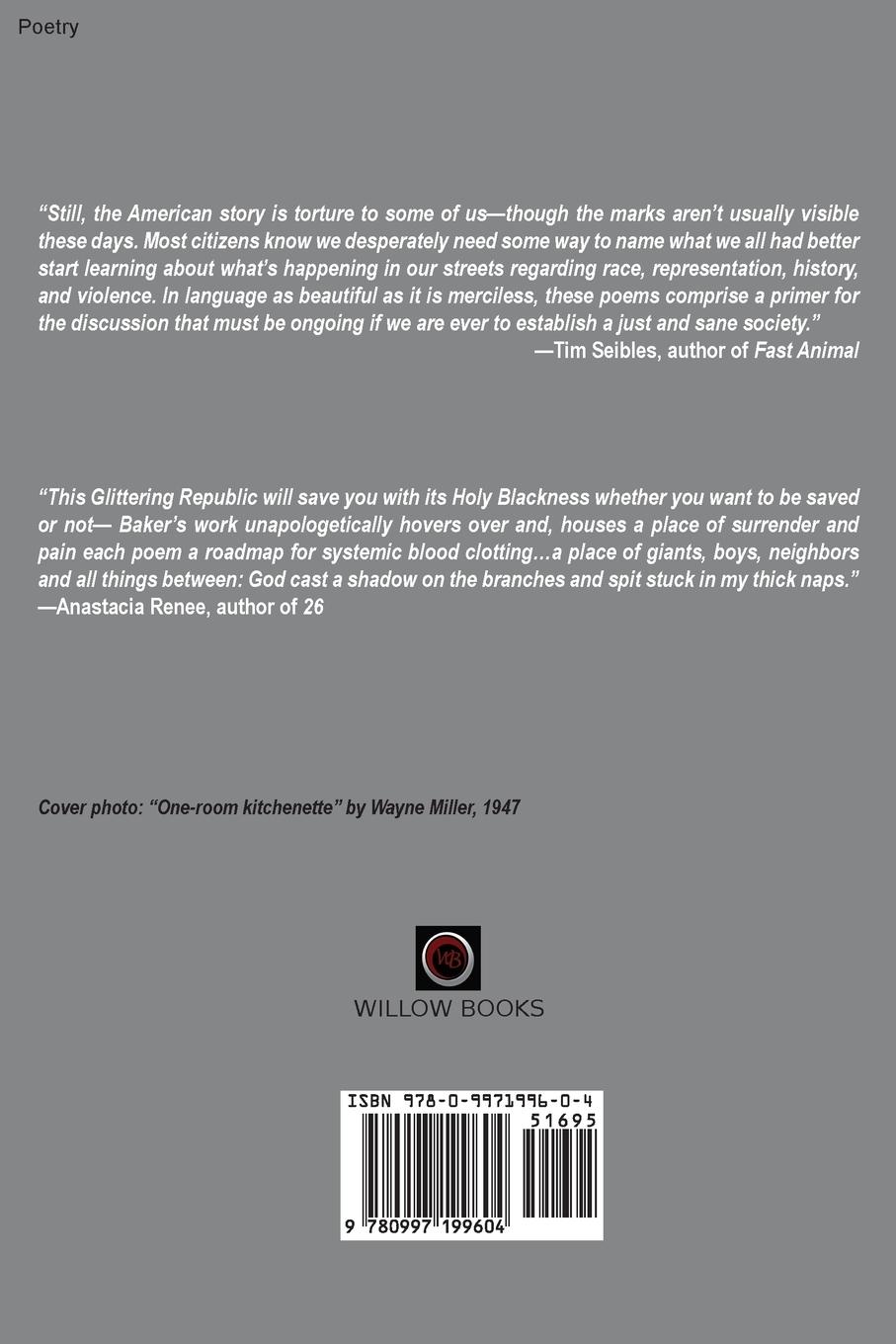 Rückseitencover This Glittering Republic