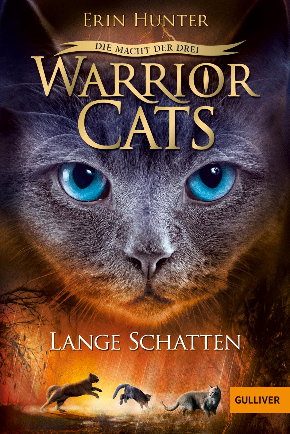 Vorderes Coverbild Warrior Cats Staffel 3/05. Die Macht der drei. Lange Schatten