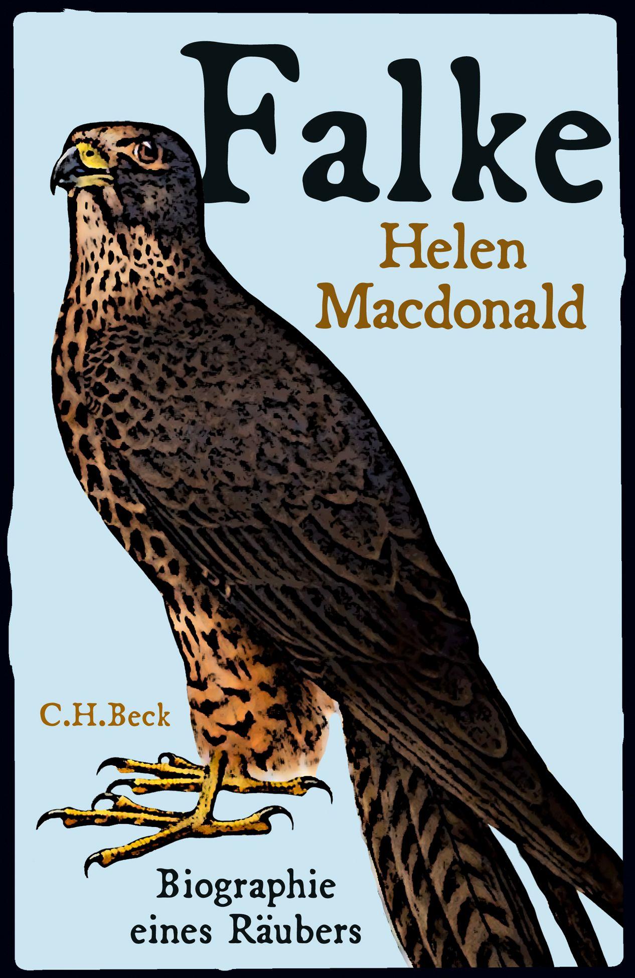 Vorderes Coverbild Falke