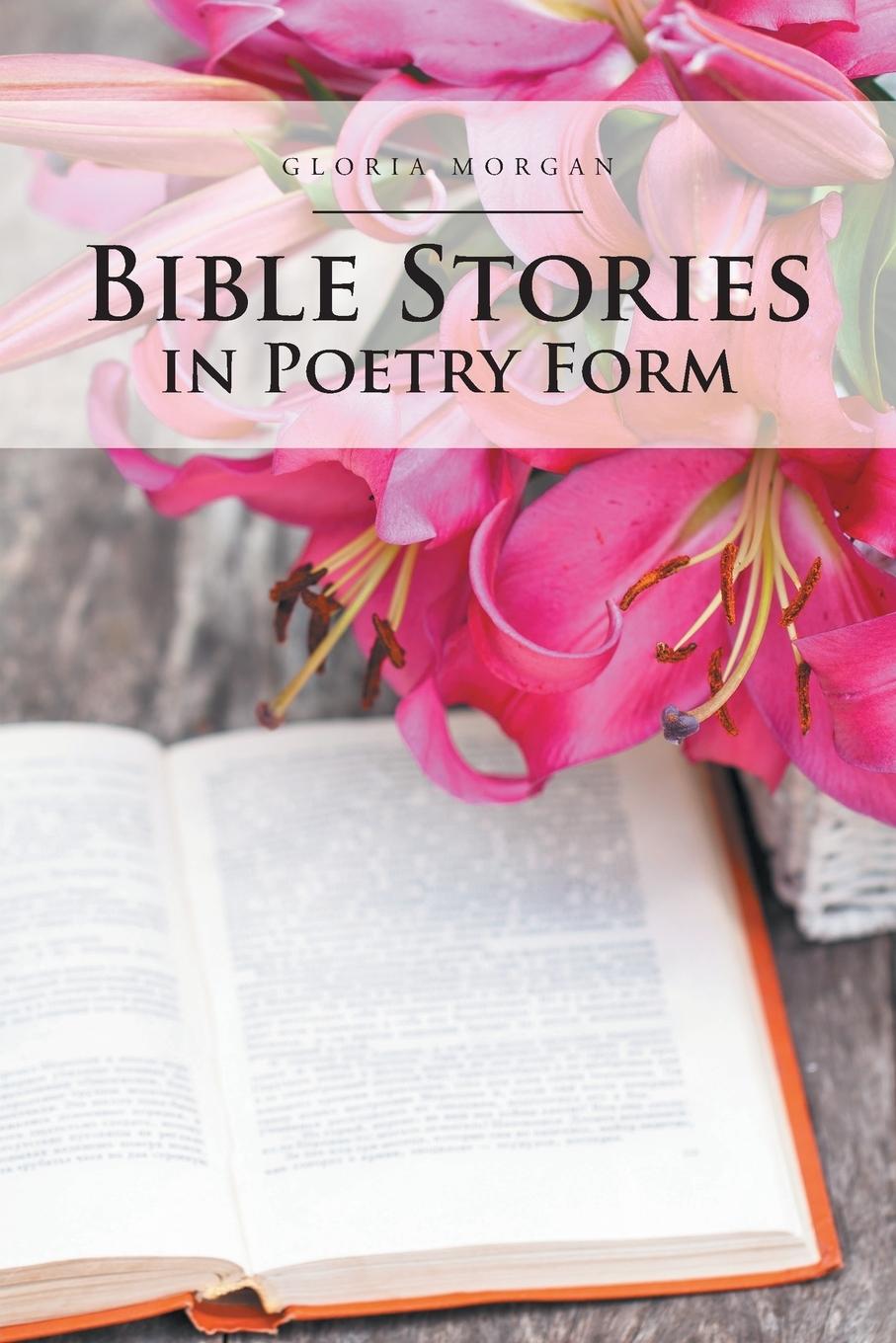 Vorderes Coverbild Bible Stories in Poetry Form