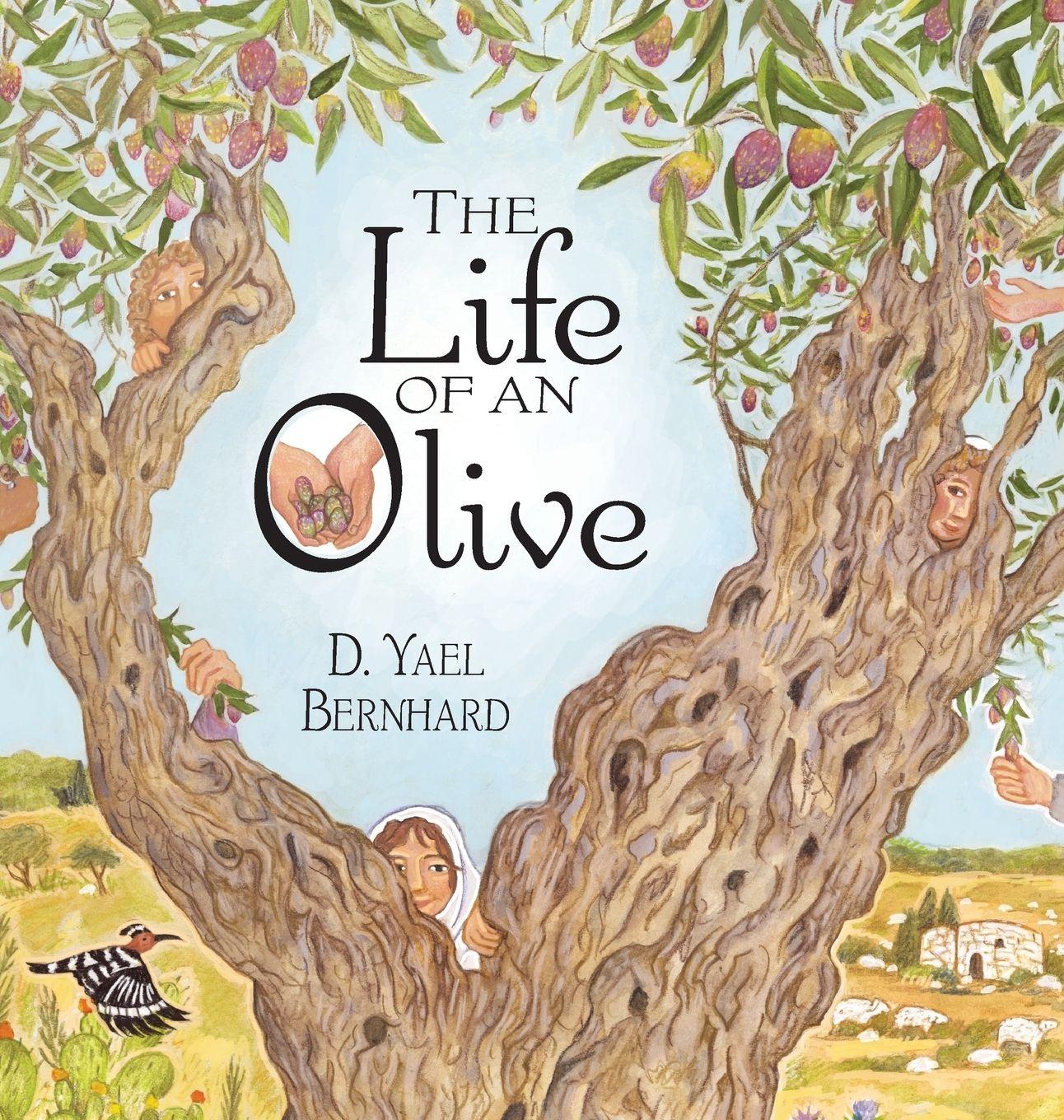 Vorderes Coverbild The Life of an Olive