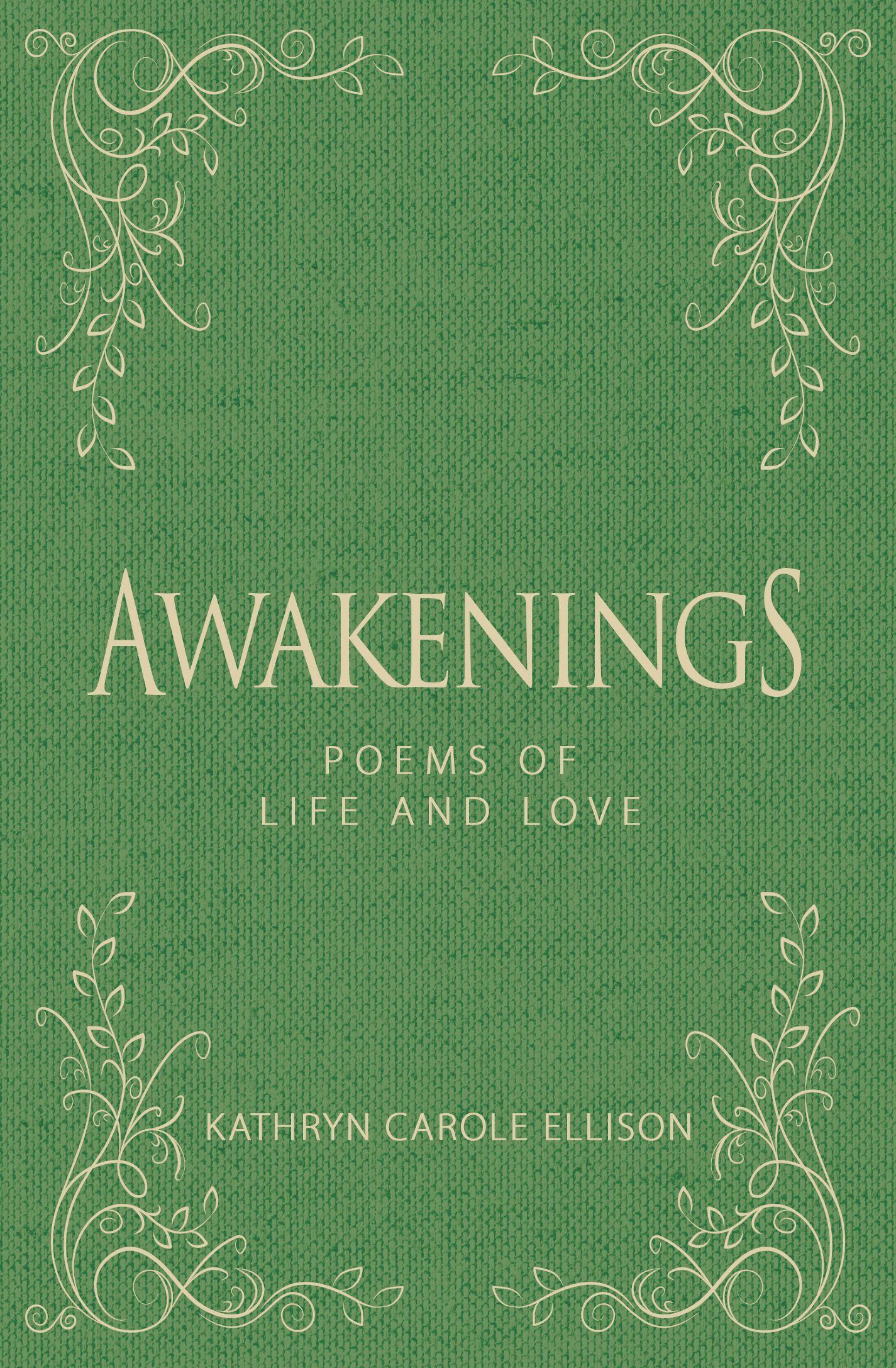 Vorderes Coverbild AWAKENINGS