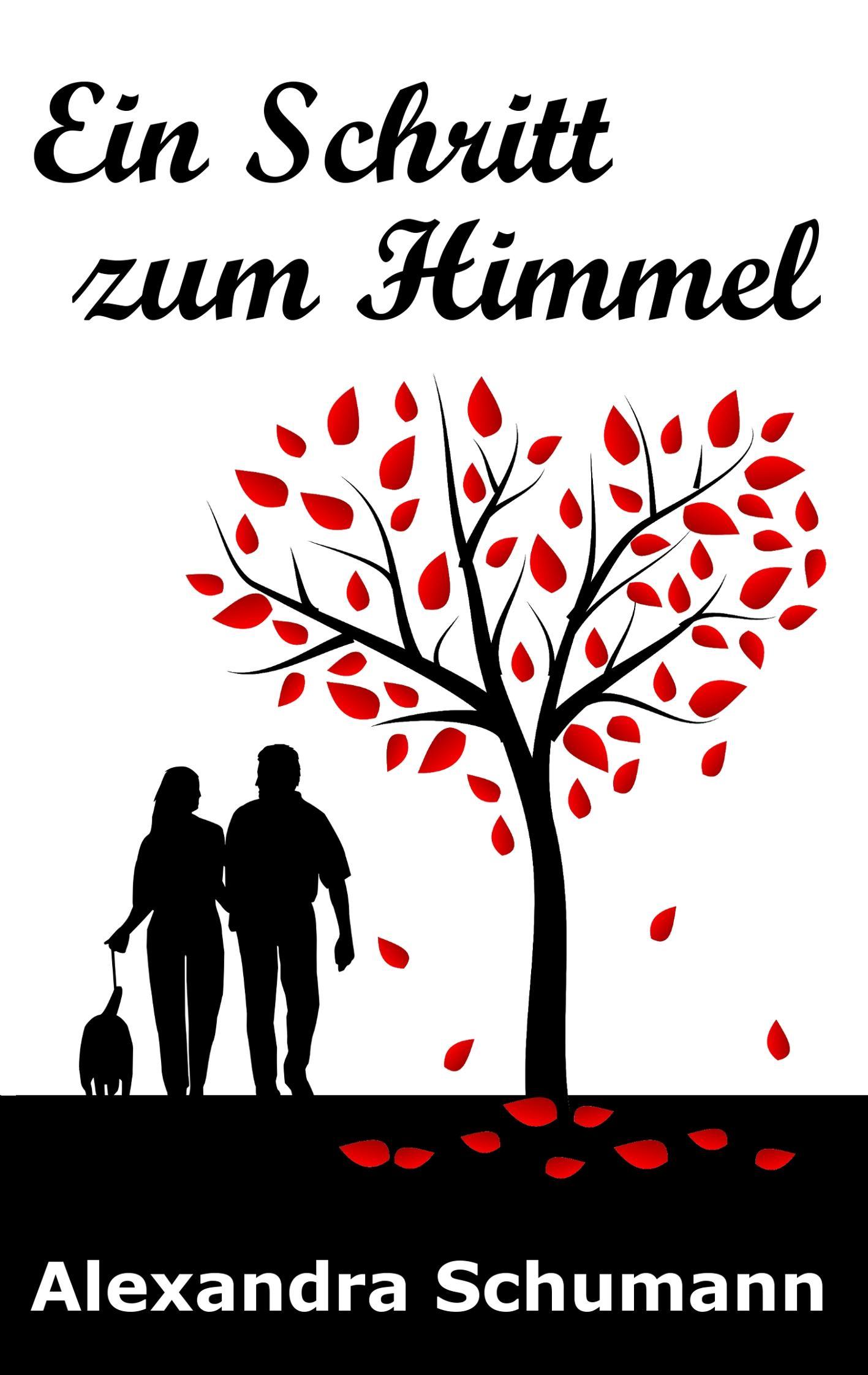 Vorderes Coverbild Ein Schritt zum Himmel