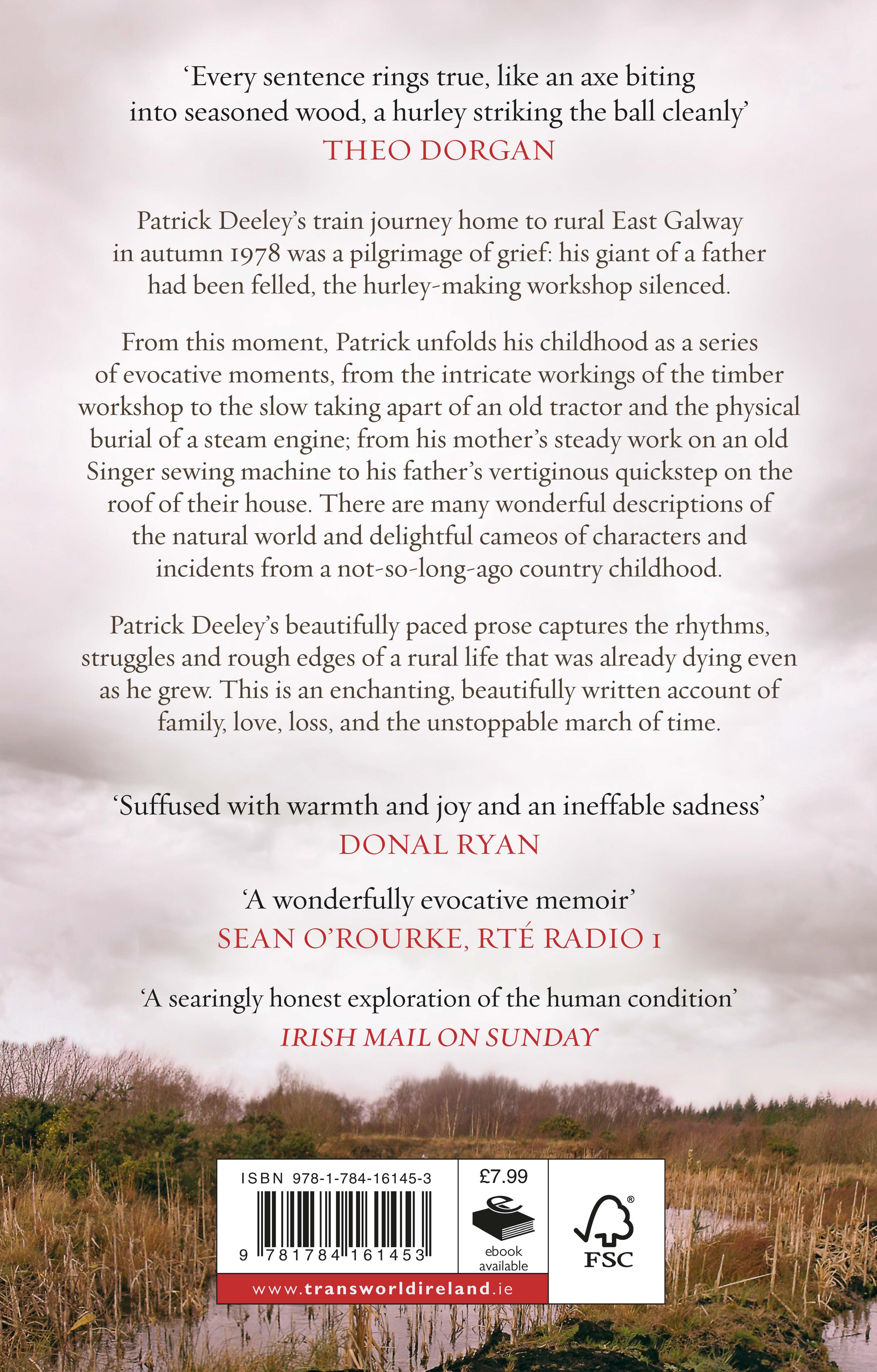 Rückseitencover The Hurley Maker's Son