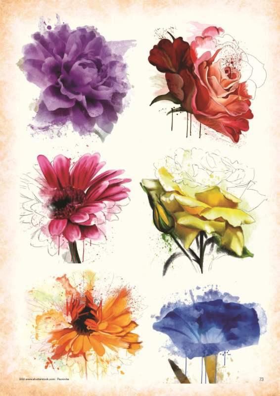 Beispielinhalt (Bild) Watercolor - Premium Style