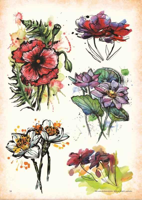 Beispielinhalt (Bild) Watercolor - Premium Style