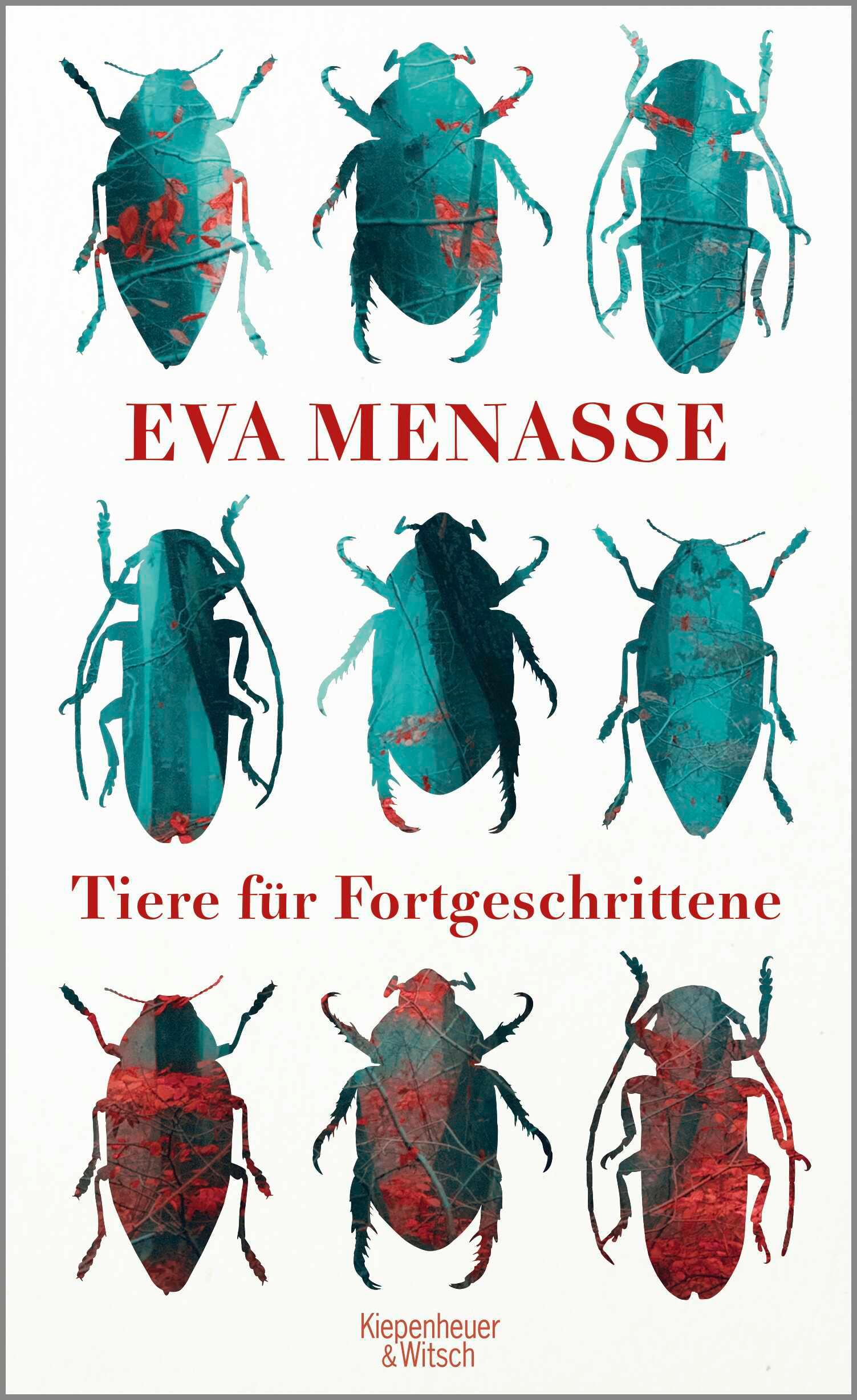 Vorderes Coverbild Tiere für Fortgeschrittene