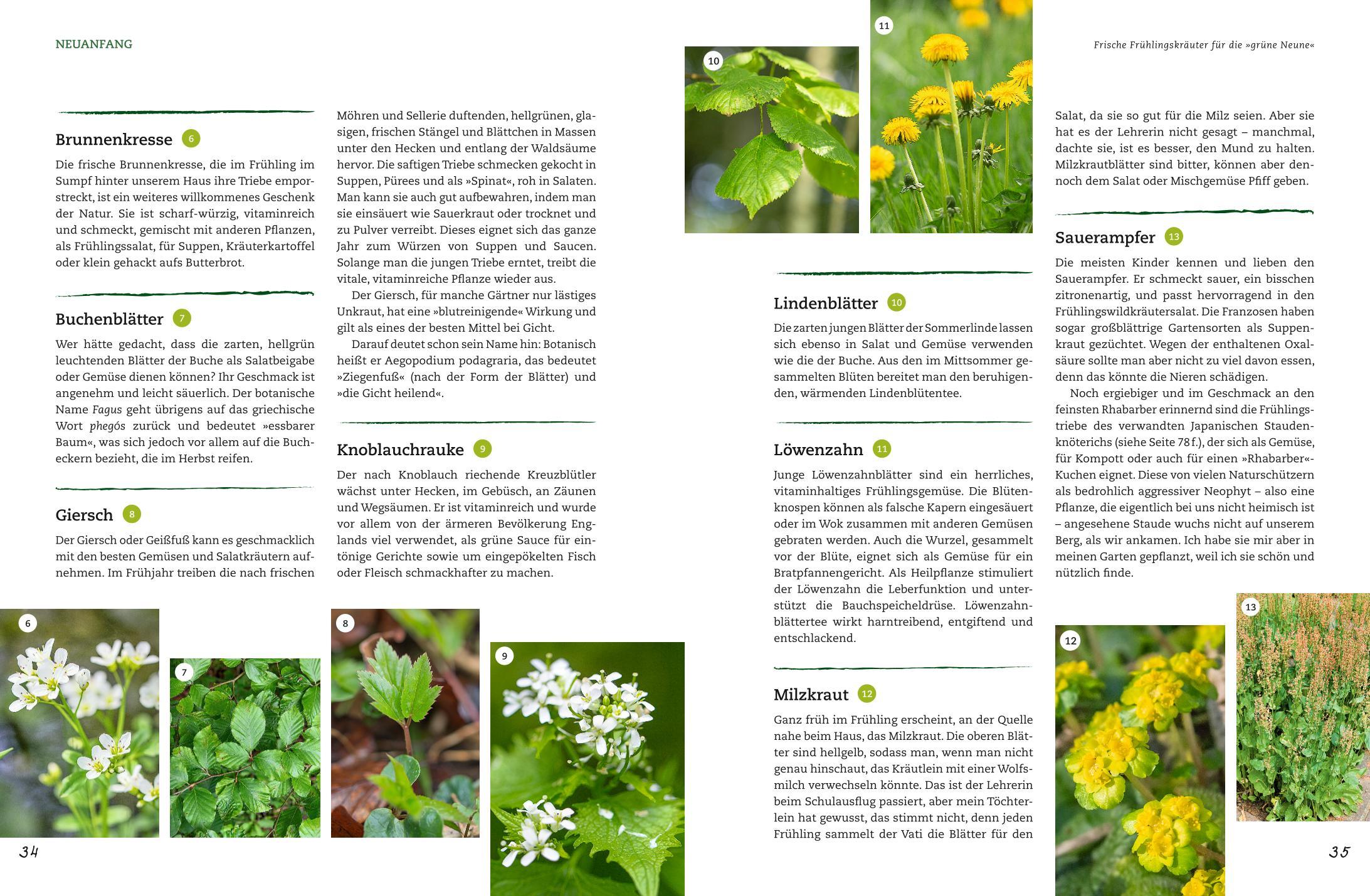 Beispielinhalt (Bild) Der Selbstversorger: Mein Gartenwissen