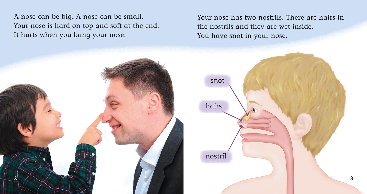 Beispielinhalt (Bild) YOUR NOSE