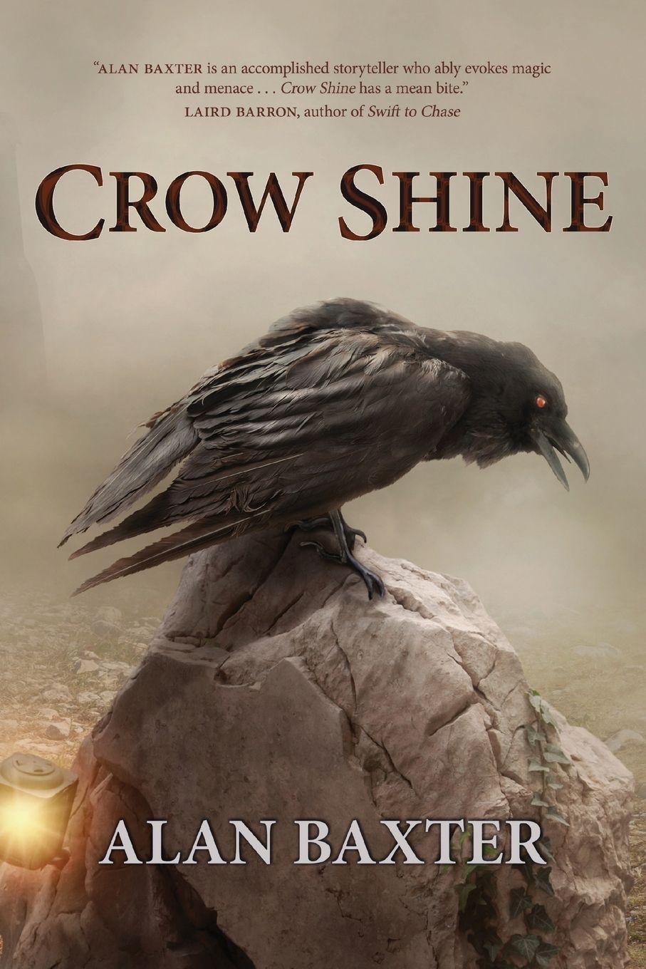 Vorderes Coverbild Crow Shine