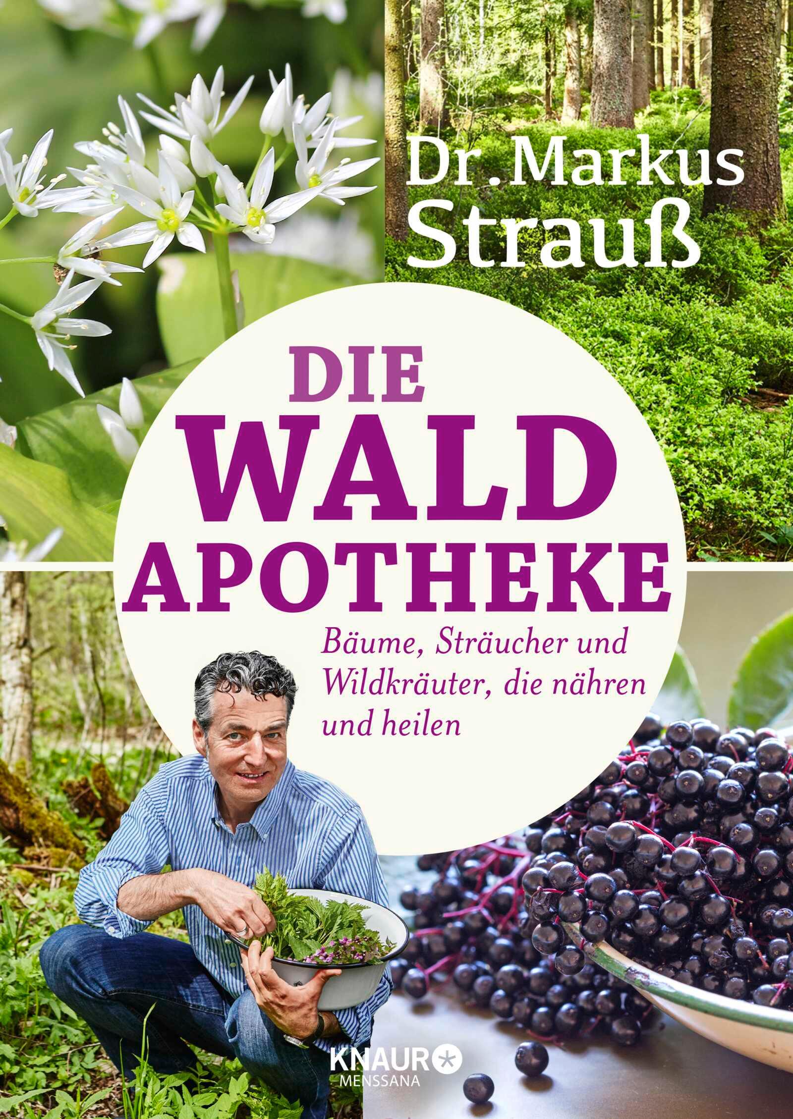 Vorderes Coverbild Die Wald-Apotheke