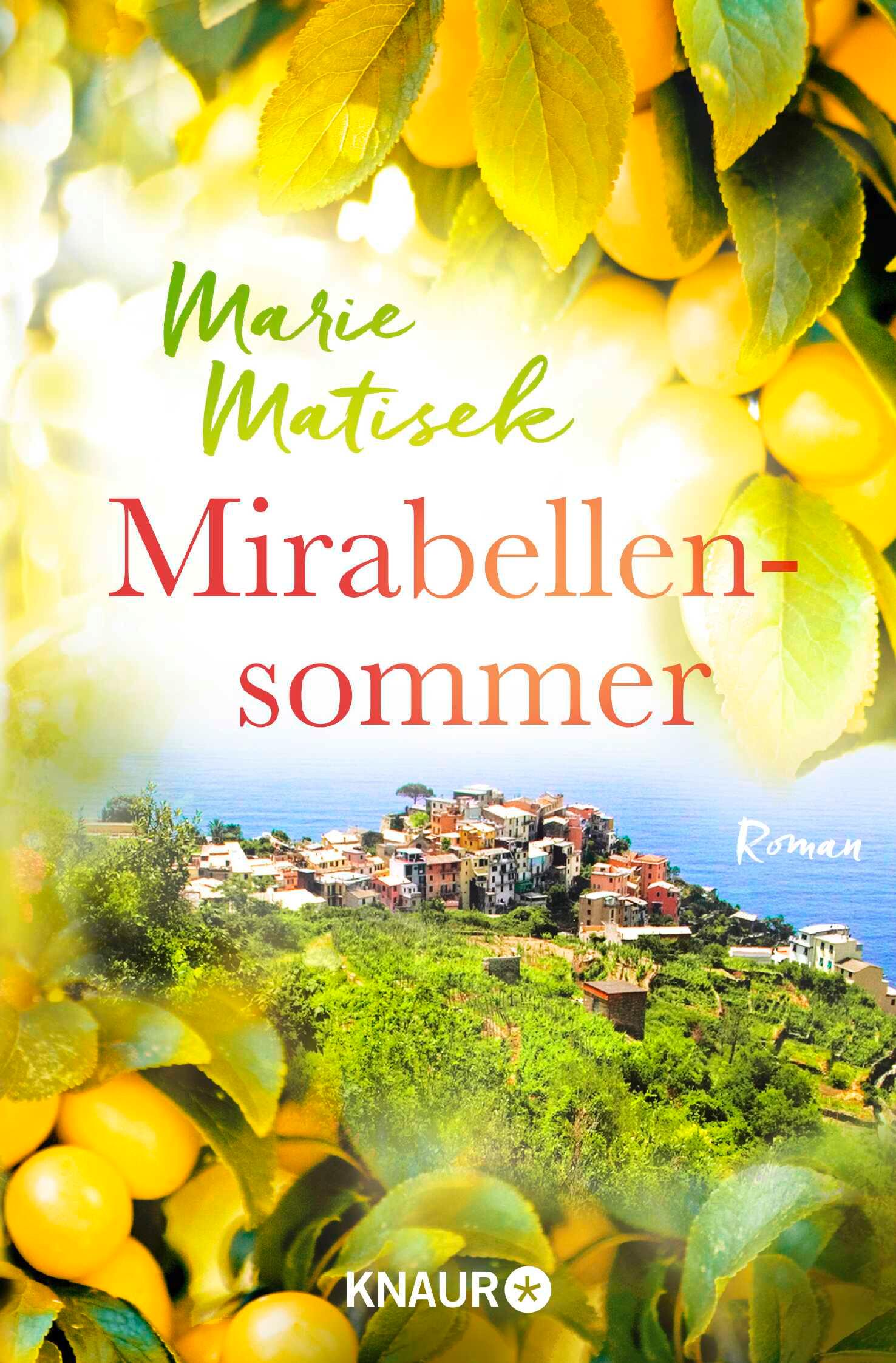 Vorderes Coverbild Mirabellensommer