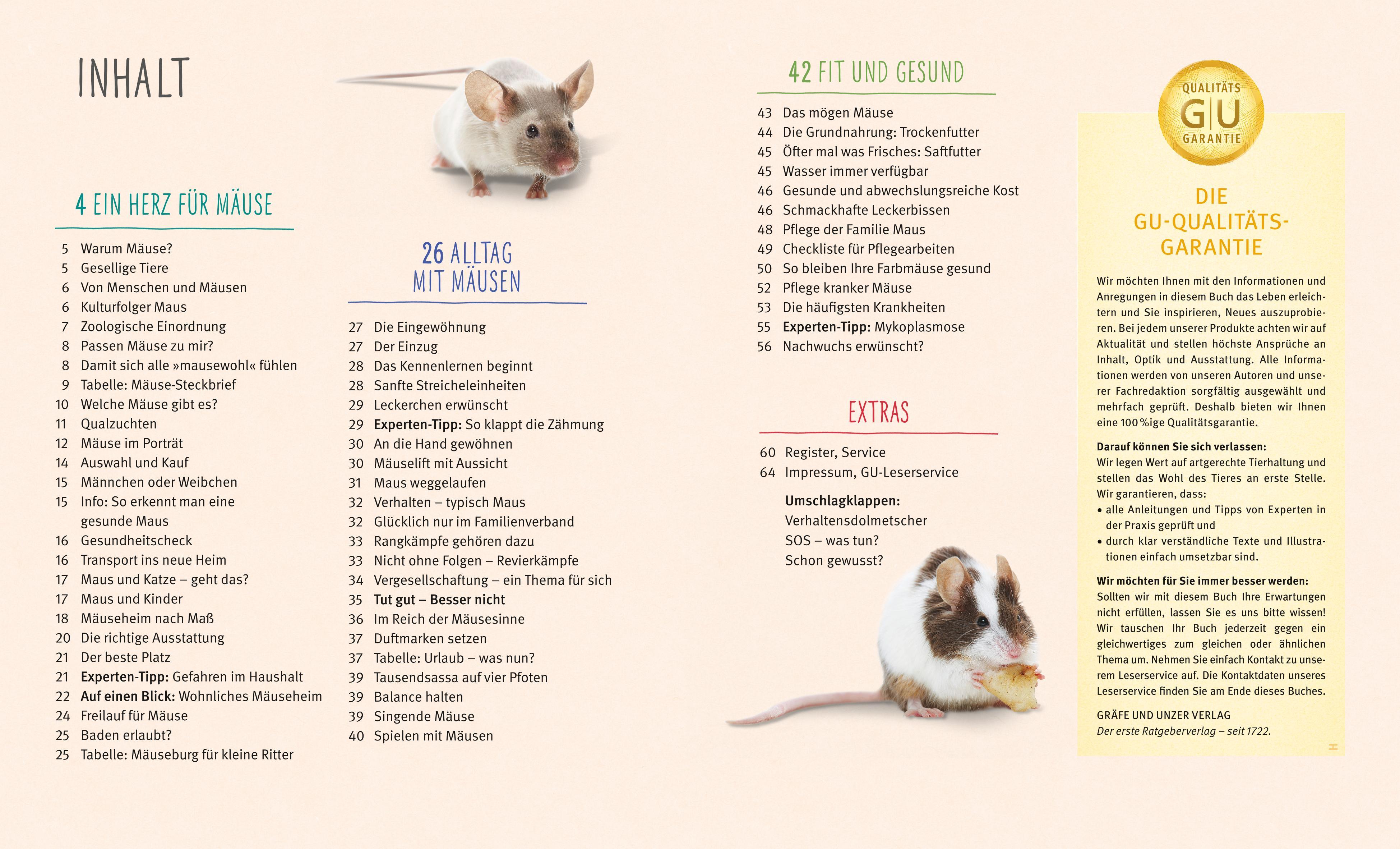 Beispielinhalt (Bild) Mäuse