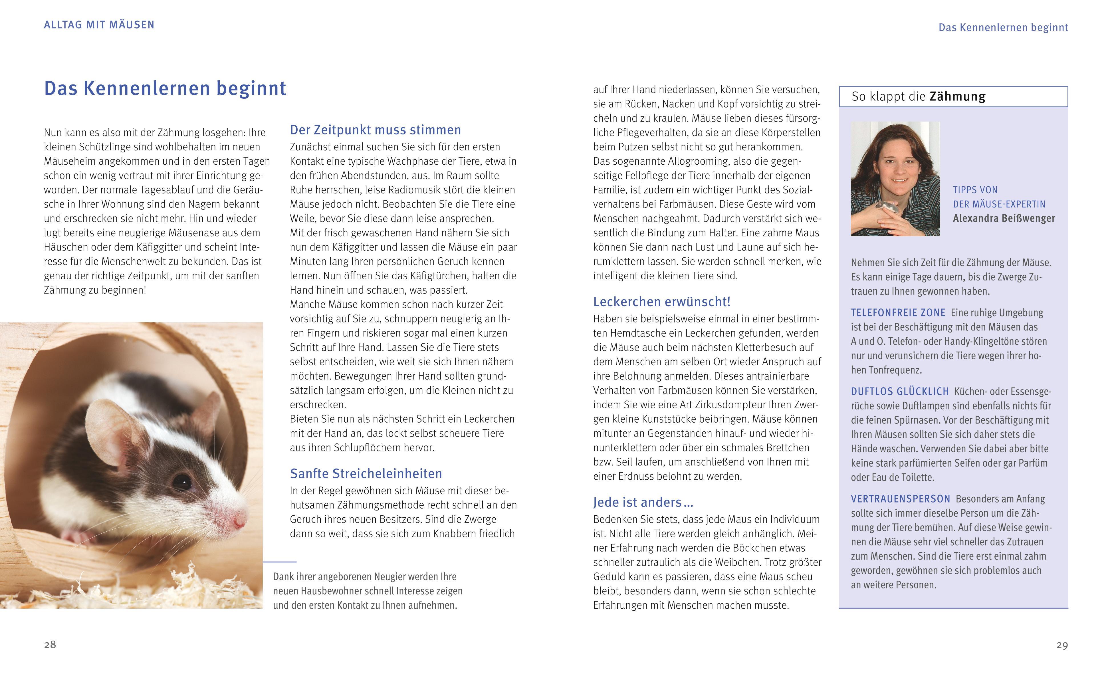 Beispielinhalt (Bild) Mäuse