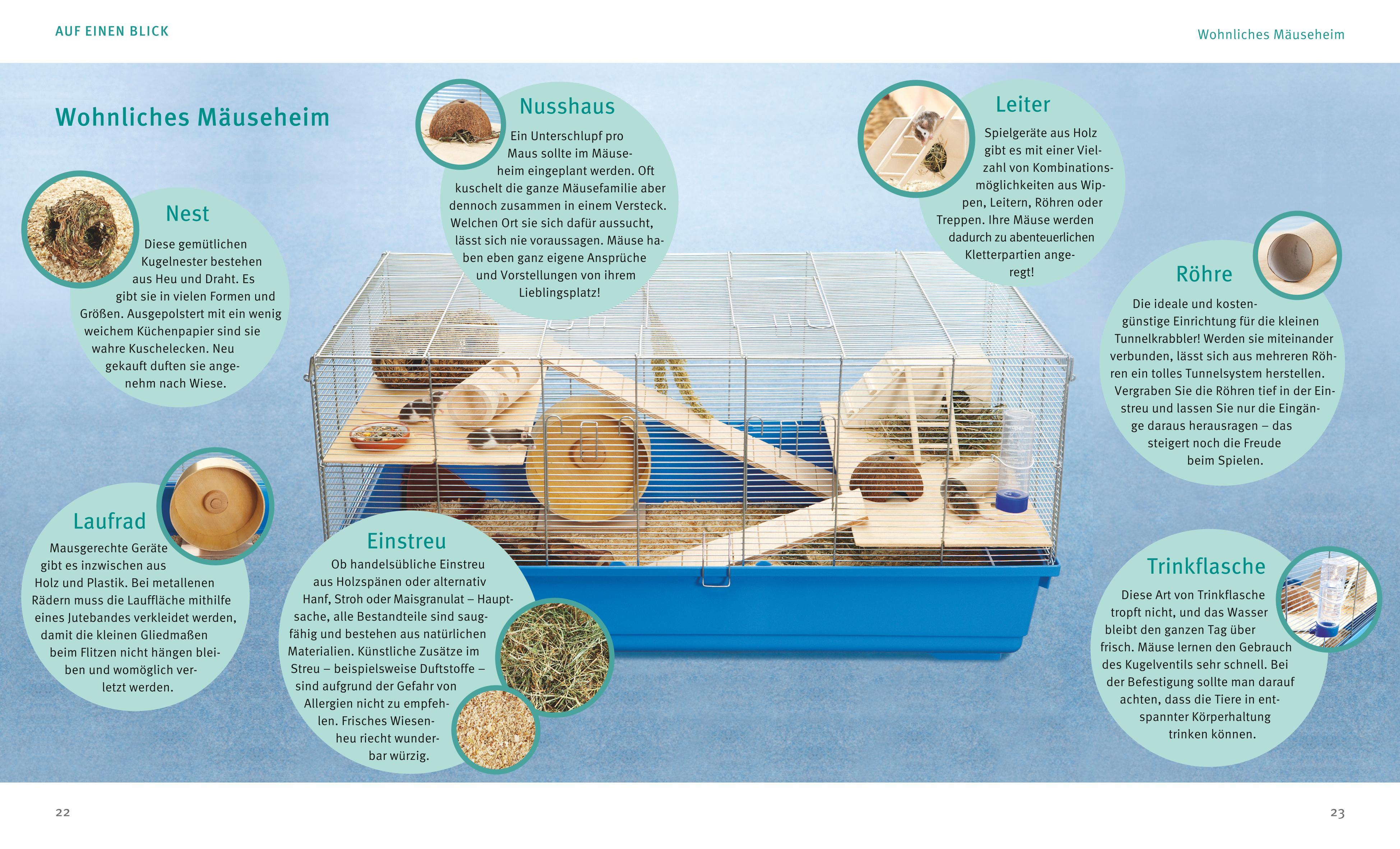 Beispielinhalt (Bild) Mäuse