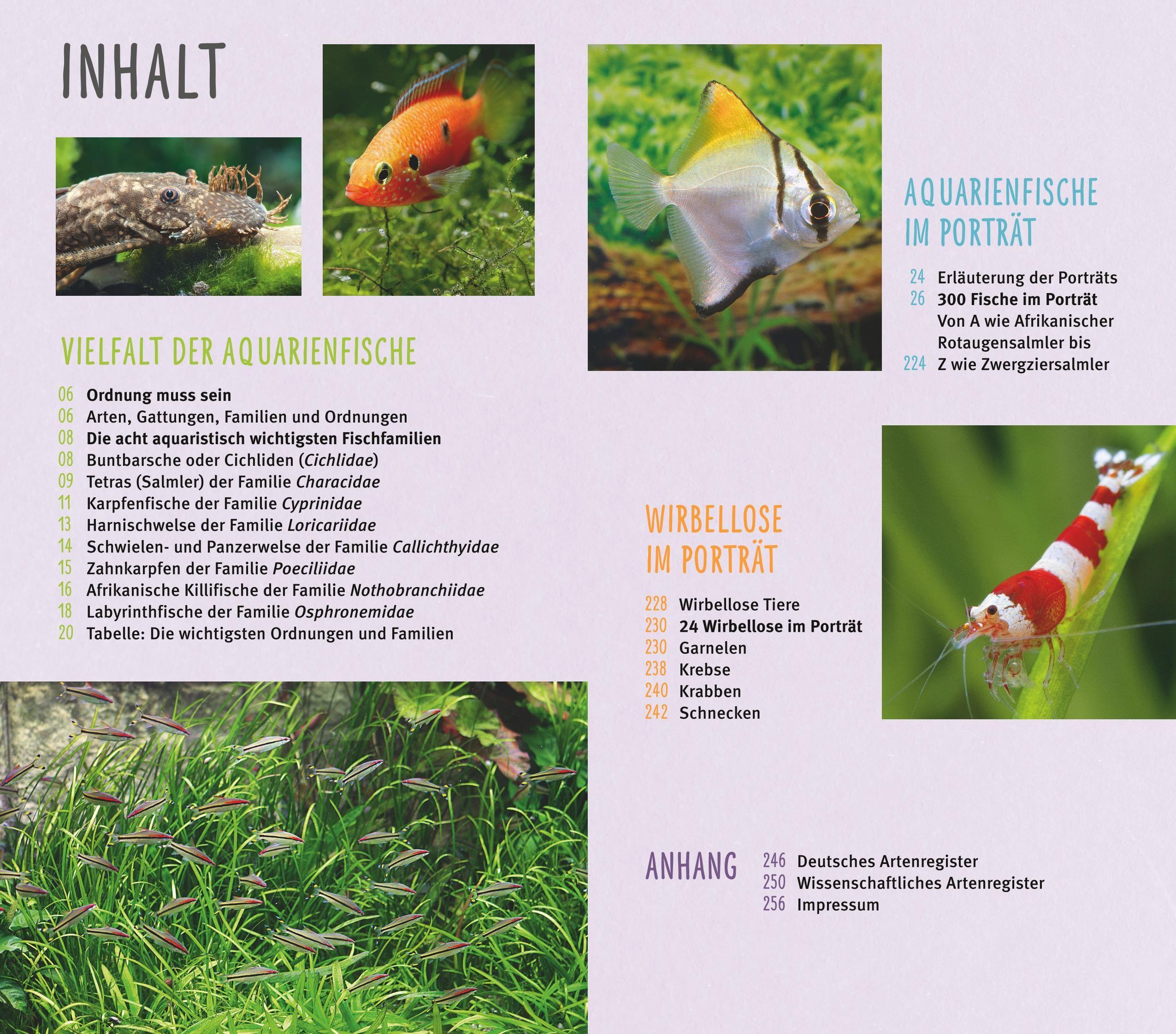 Beispielinhalt (Bild) Aquarienfische von A bis Z