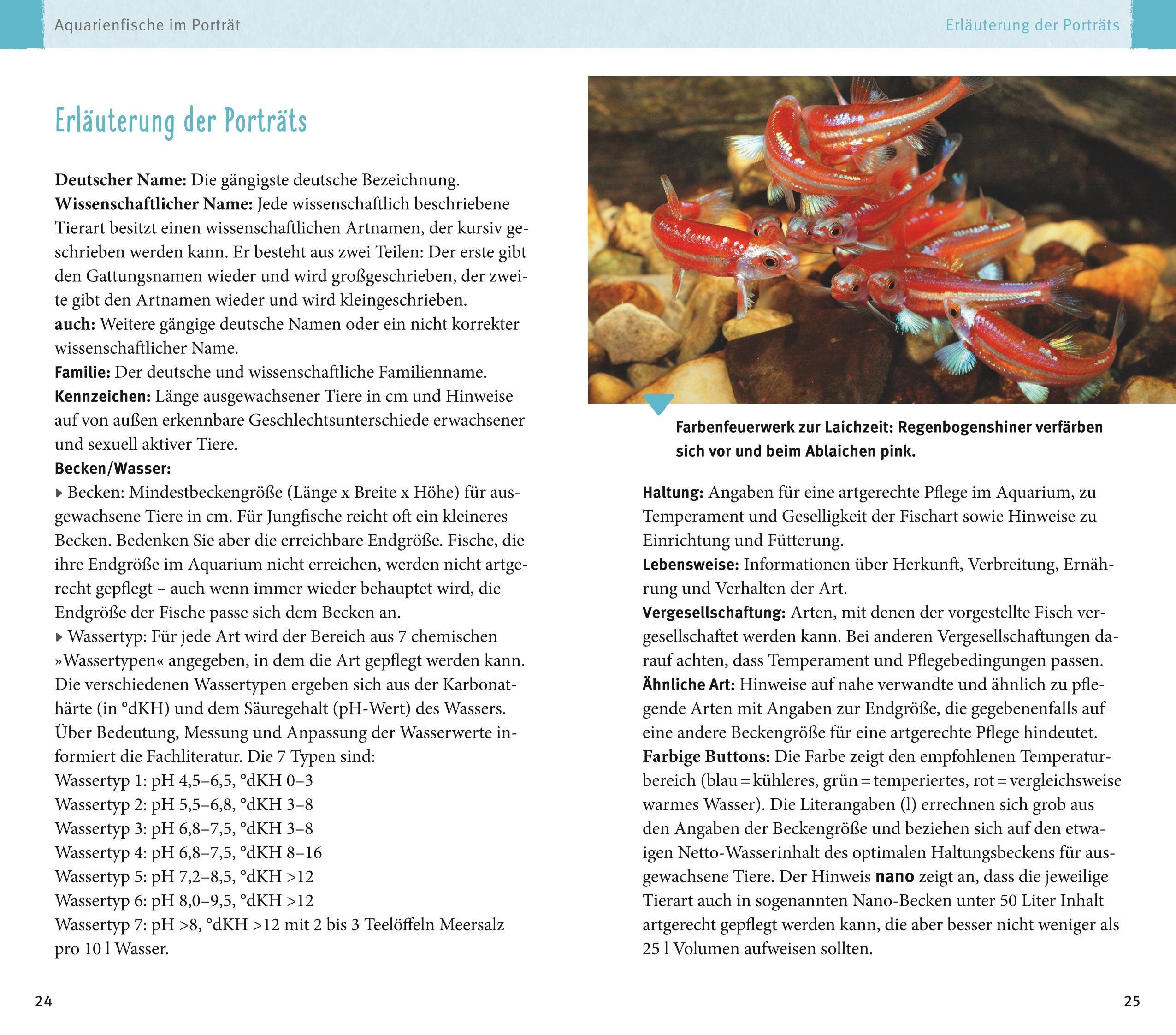 Beispielinhalt (Bild) Aquarienfische von A bis Z