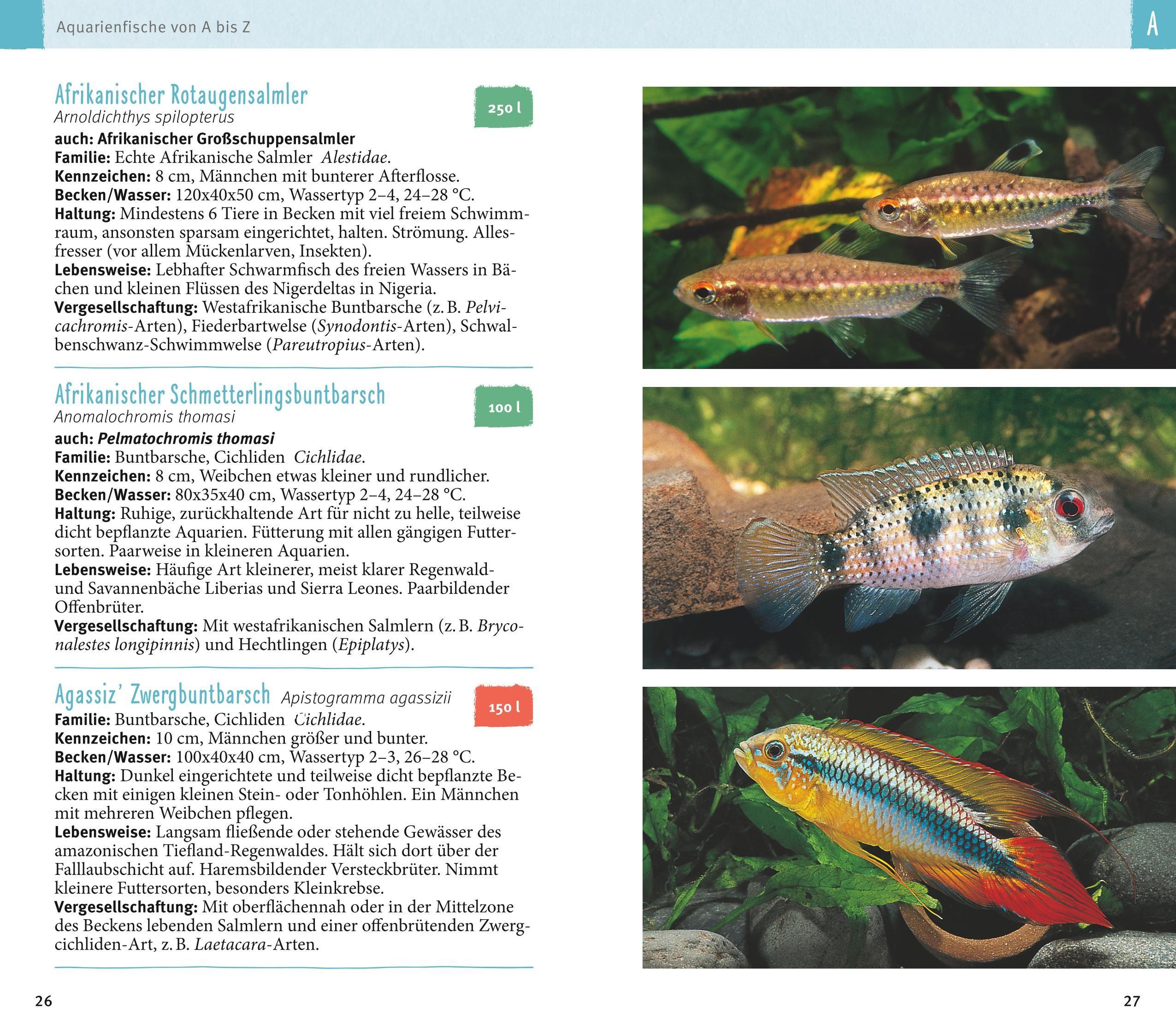 Beispielinhalt (Bild) Aquarienfische von A bis Z