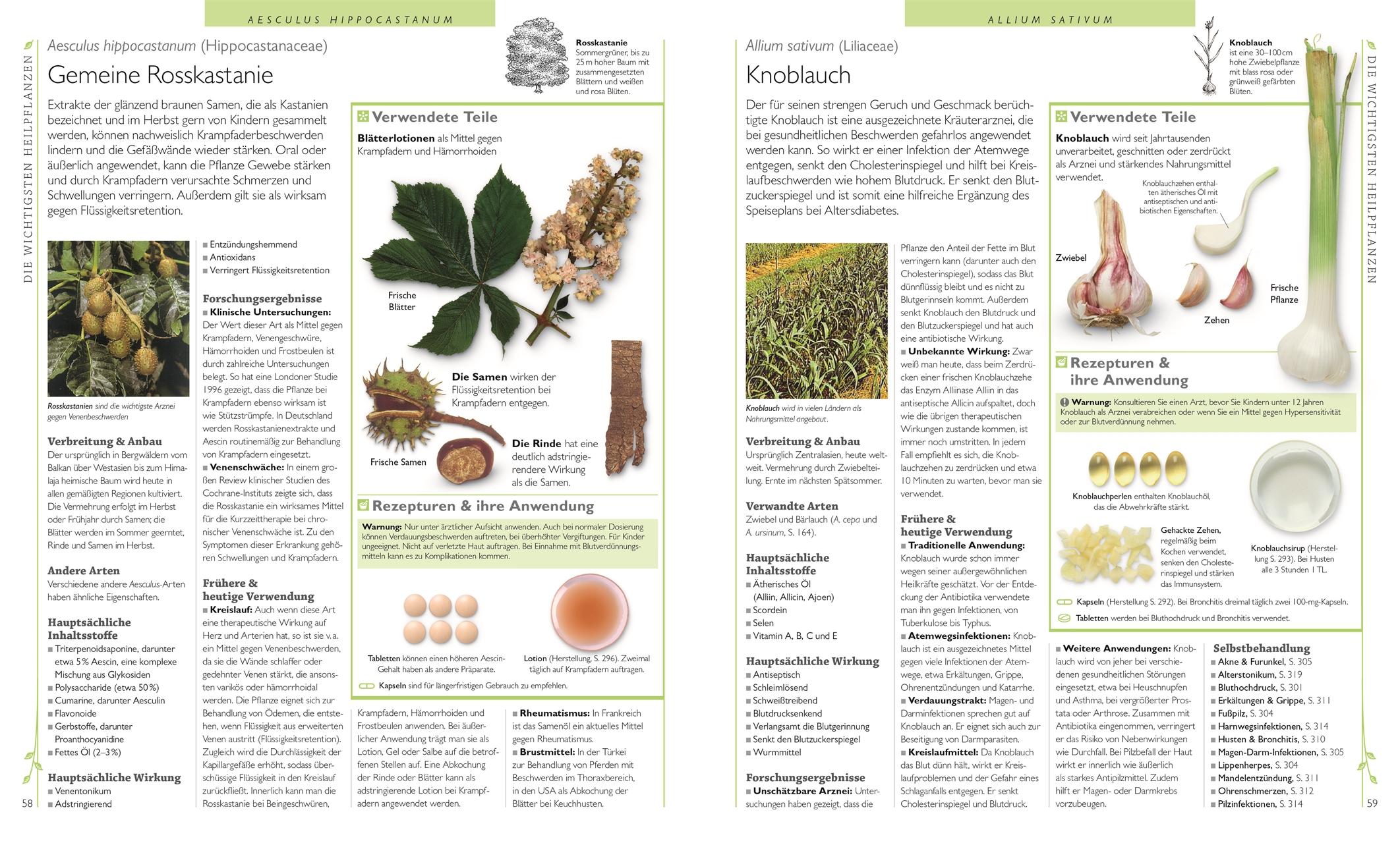 Beispielinhalt (Bild) Das große Lexikon der Heilpflanzen