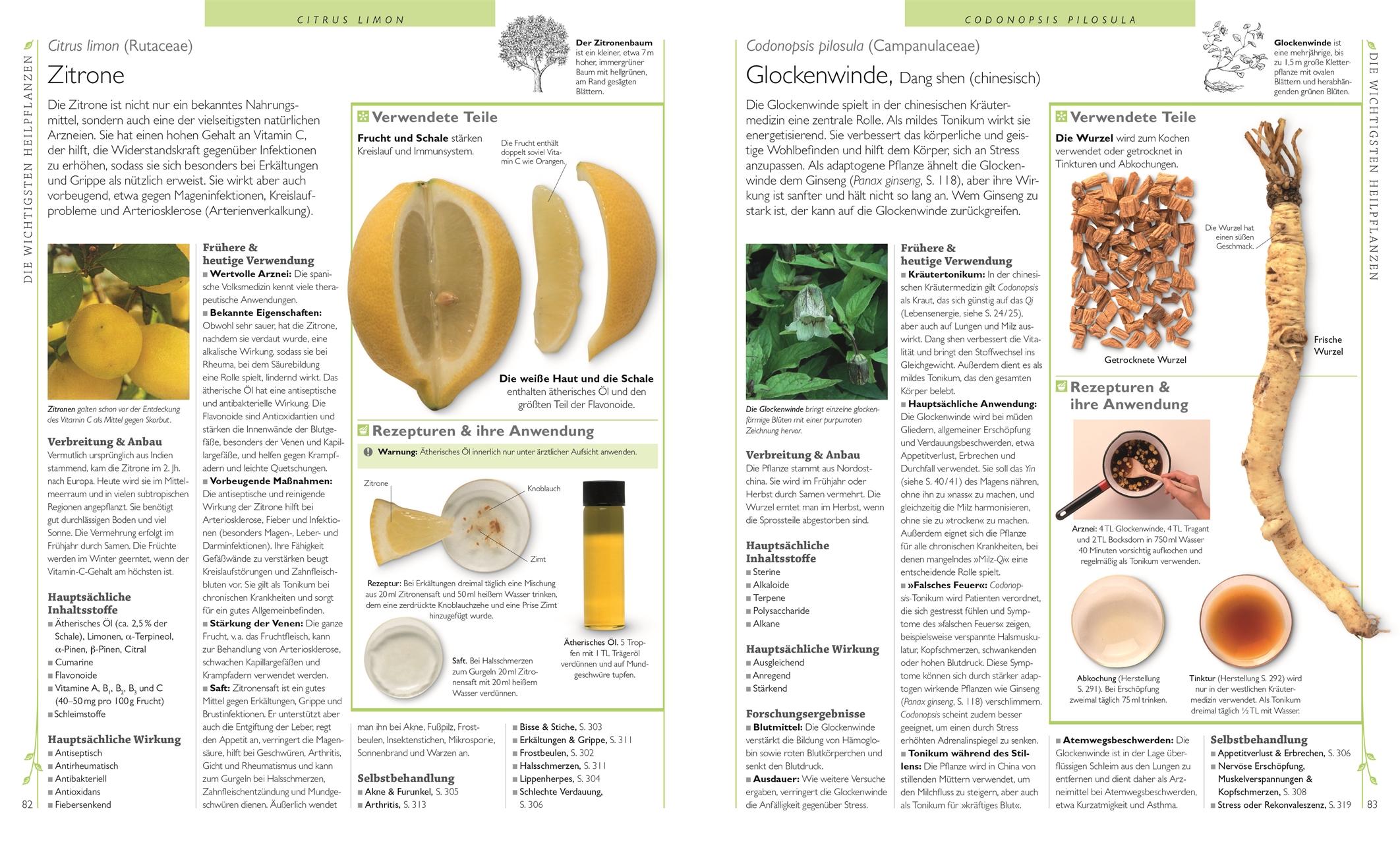 Beispielinhalt (Bild) Das große Lexikon der Heilpflanzen