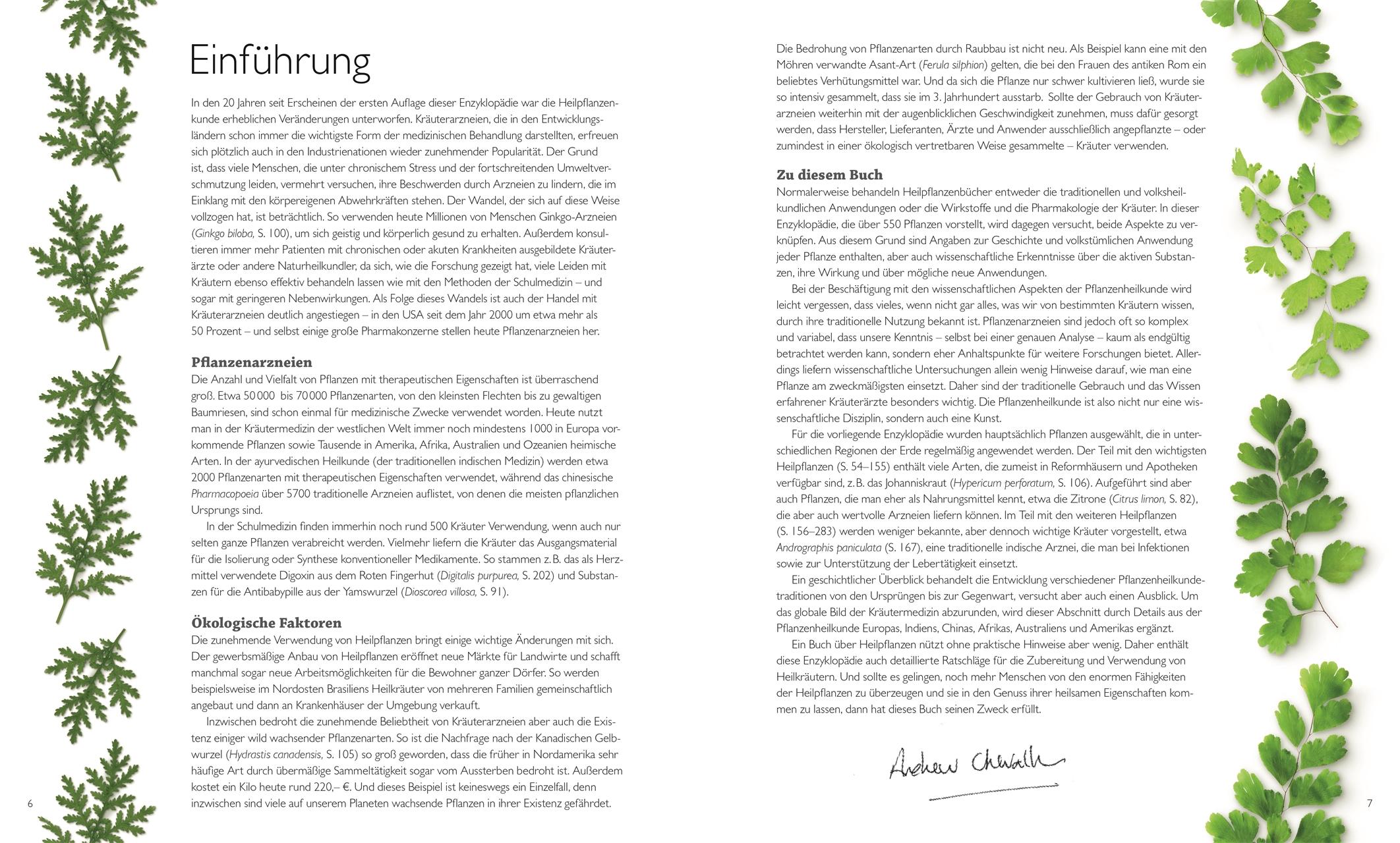 Beispielinhalt (Bild) Das große Lexikon der Heilpflanzen