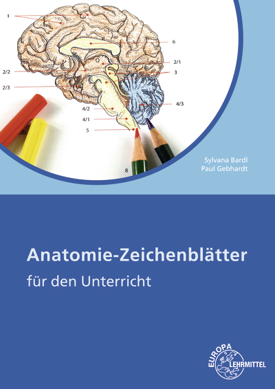 Vorderes Coverbild Anatomie Zeichenblätter