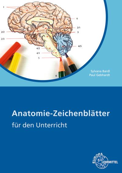 Vorderes Coverbild Anatomie Zeichenblätter