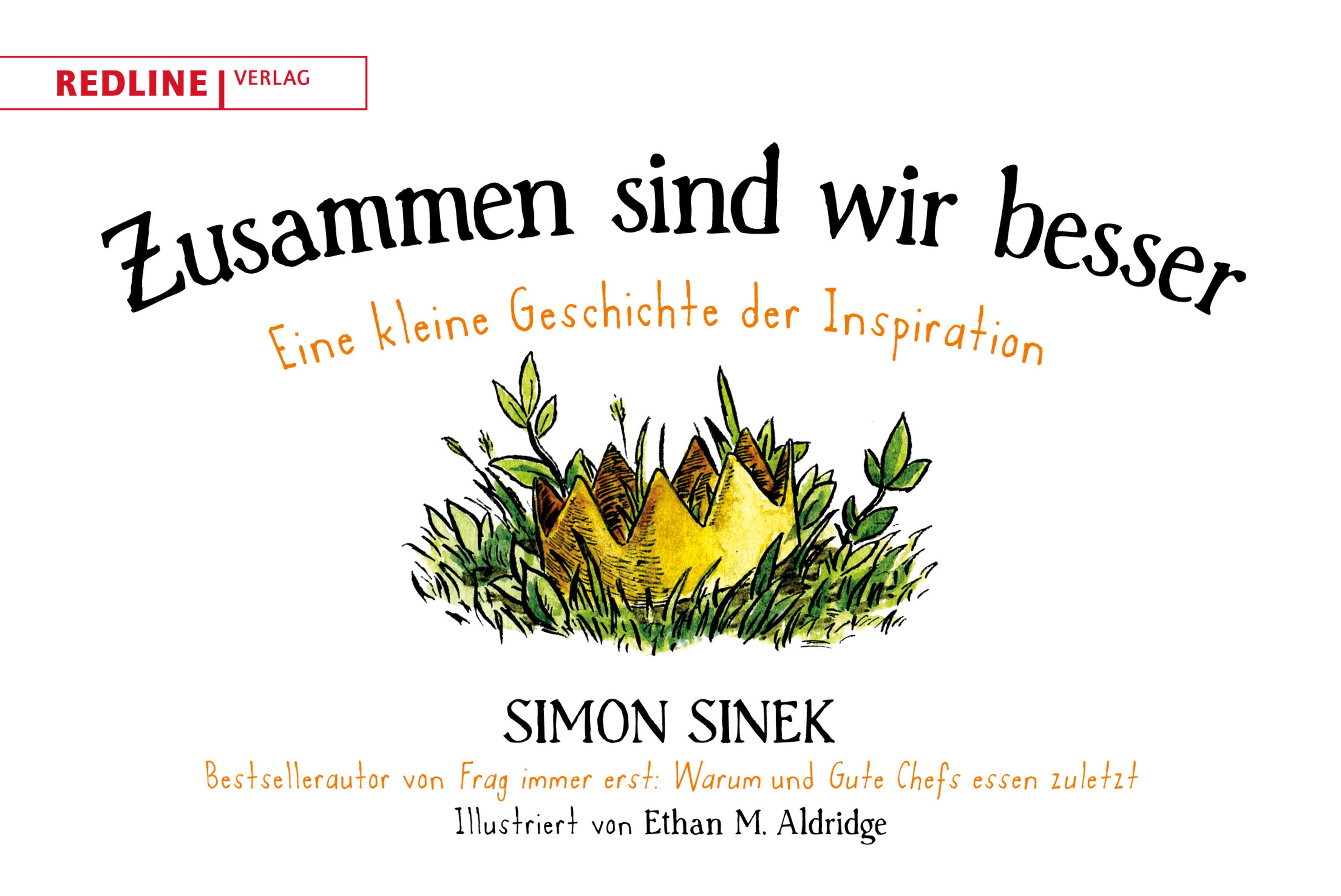 Vorderes Coverbild Zusammen sind wir besser