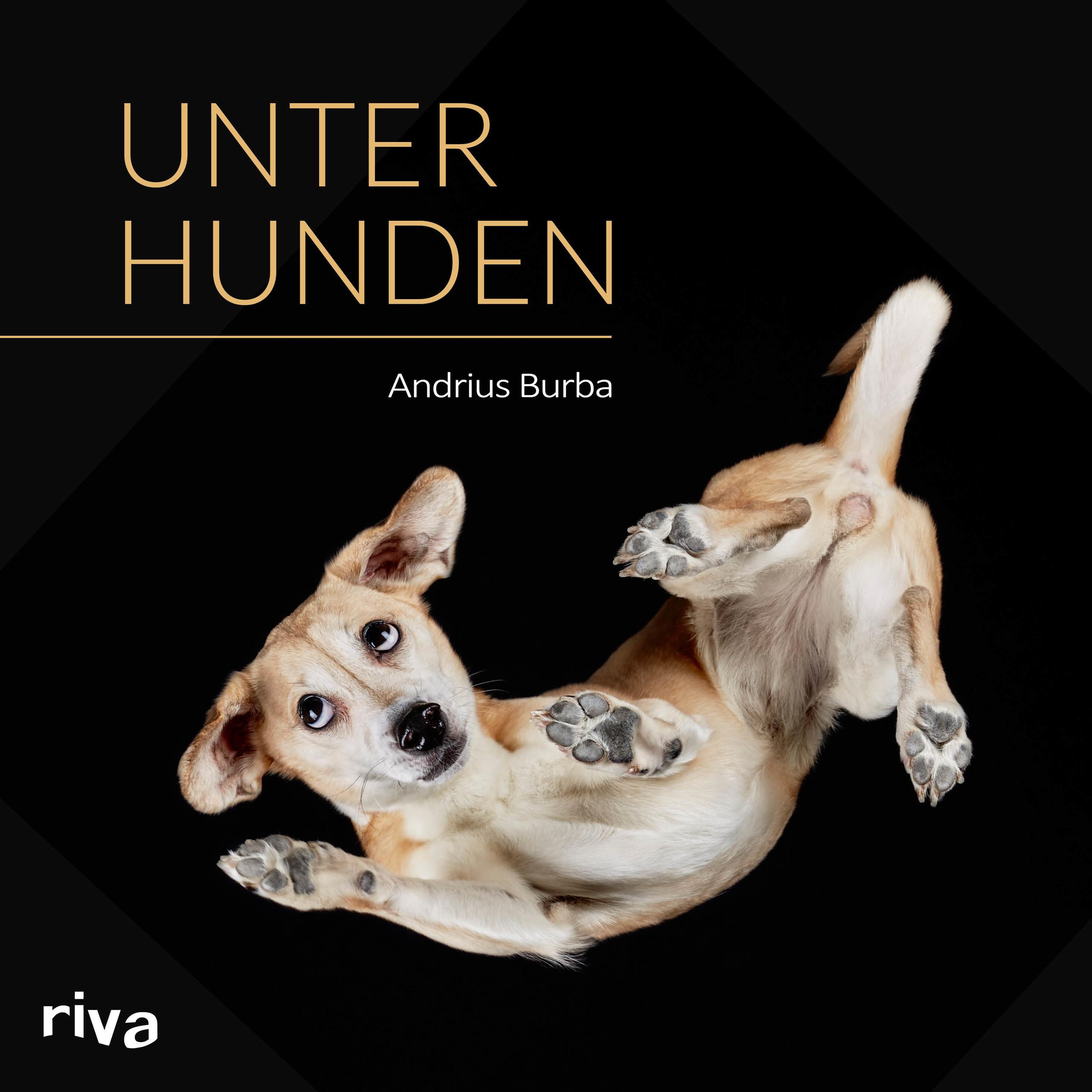 Vorderes Coverbild Unter Hunden