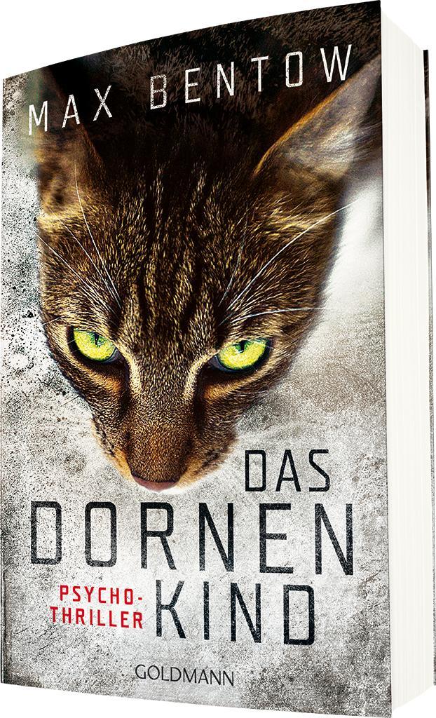 Beispielinhalt (Bild) Das Dornenkind