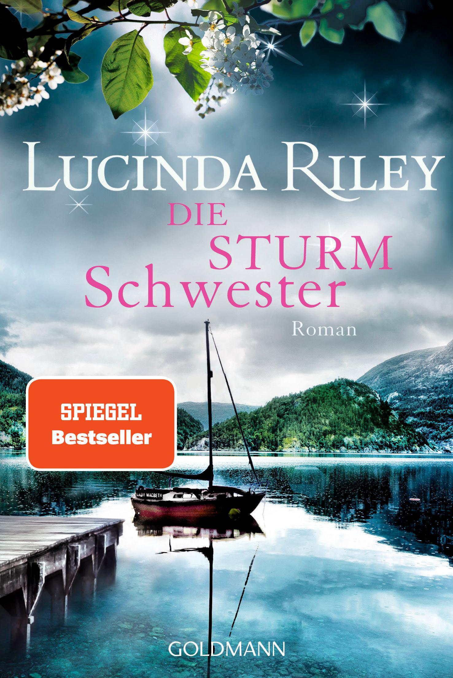 Vorderes Coverbild Die Sturmschwester