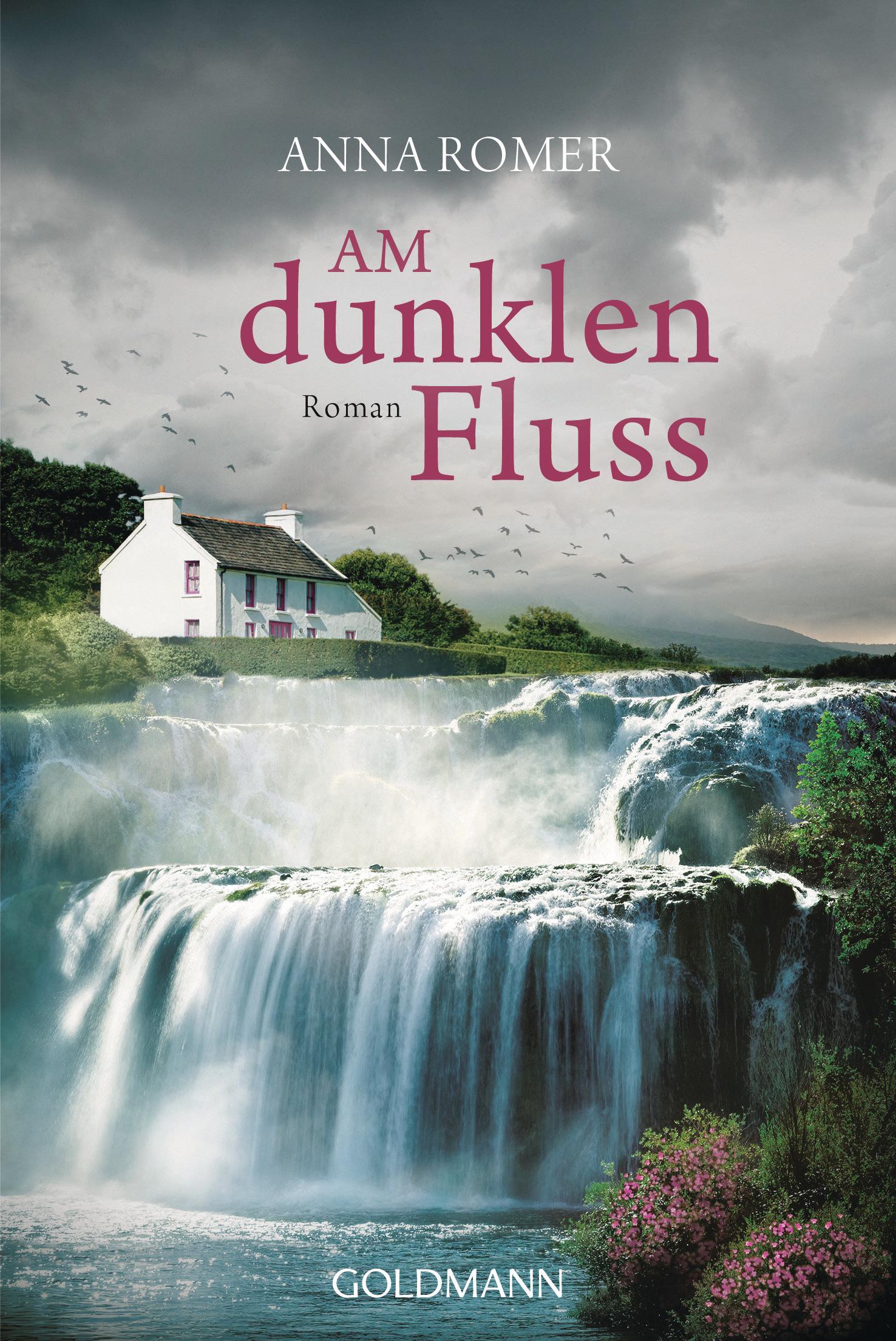 Vorderes Coverbild Am dunklen Fluss