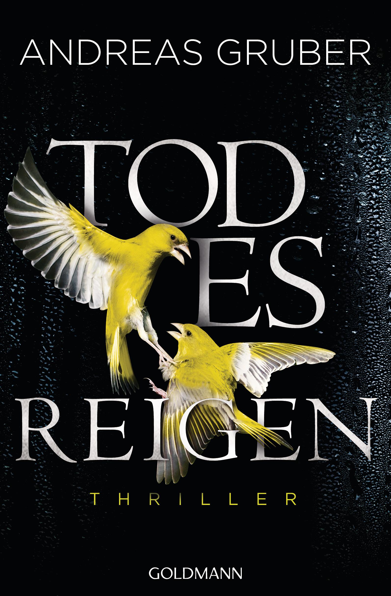 Vorderes Coverbild Todesreigen