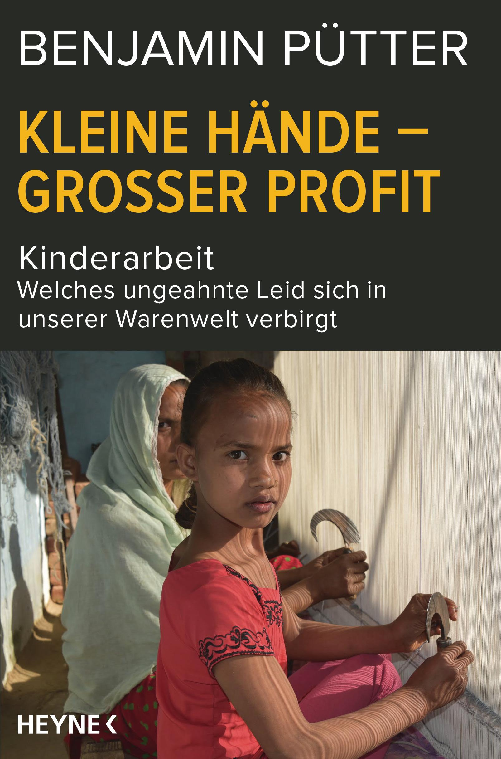 Vorderes Coverbild Kleine Hände - großer Profit