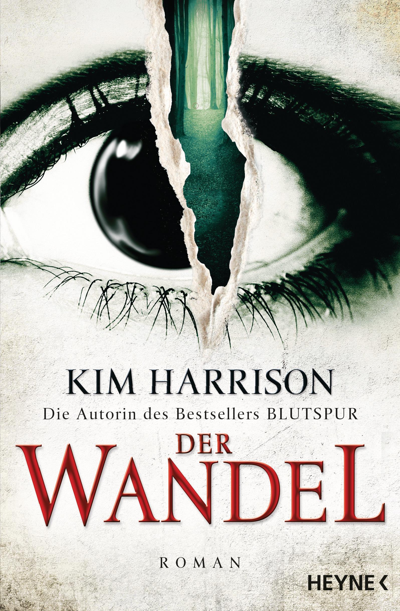 Vorderes Coverbild Der Wandel