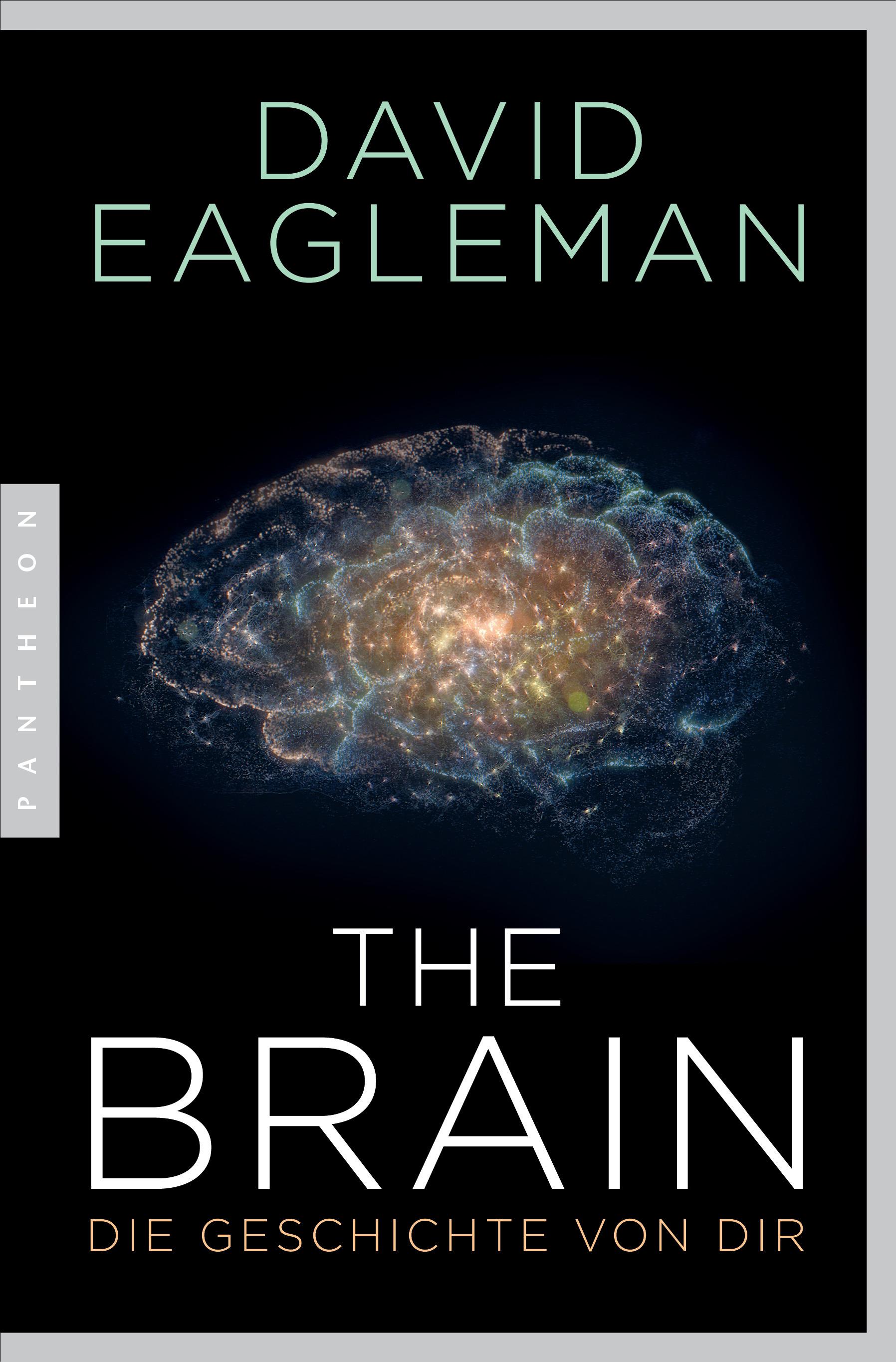 Vorderes Coverbild The Brain