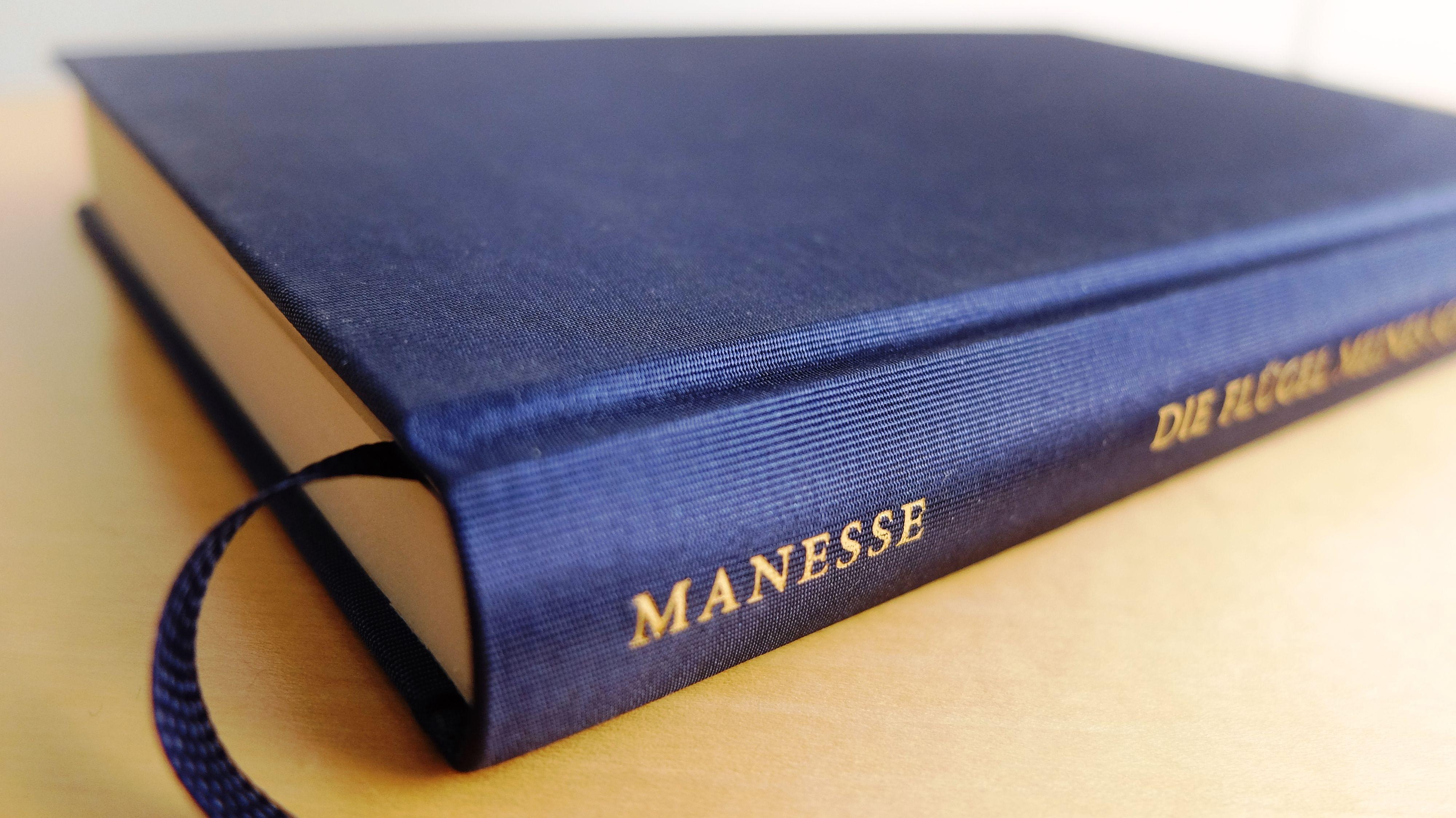 Beispielinhalt (Bild) Die Flügel meines schweren Herzens