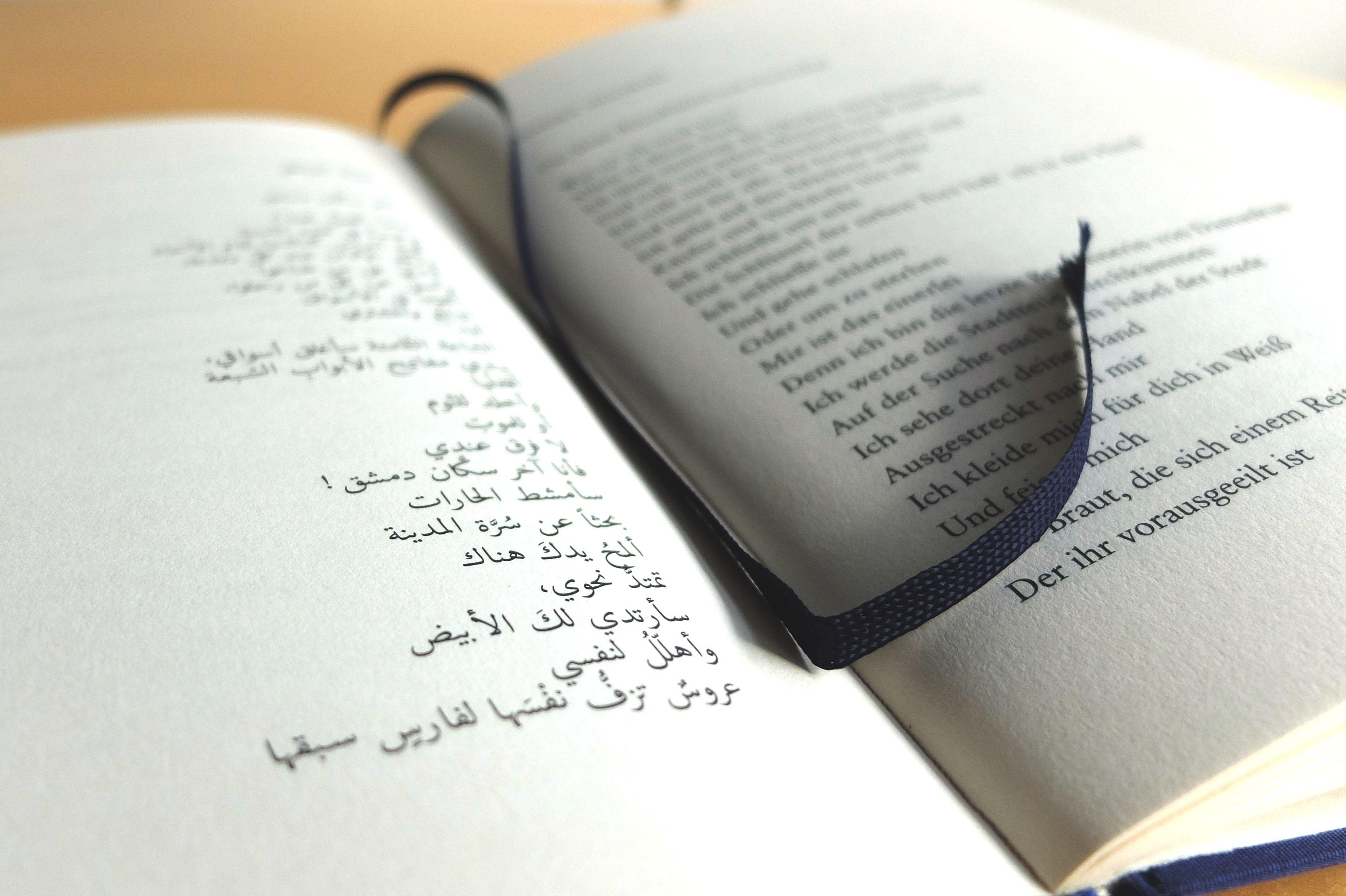 Beispielinhalt (Bild) Die Flügel meines schweren Herzens