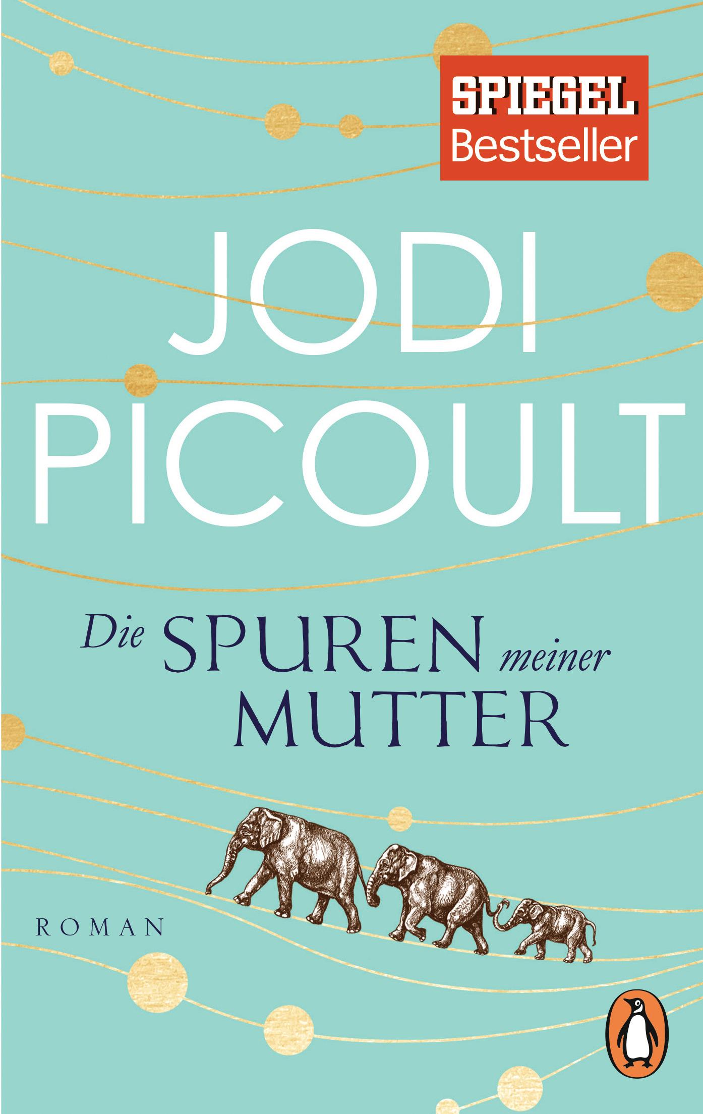 Vorderes Coverbild Die Spuren meiner Mutter
