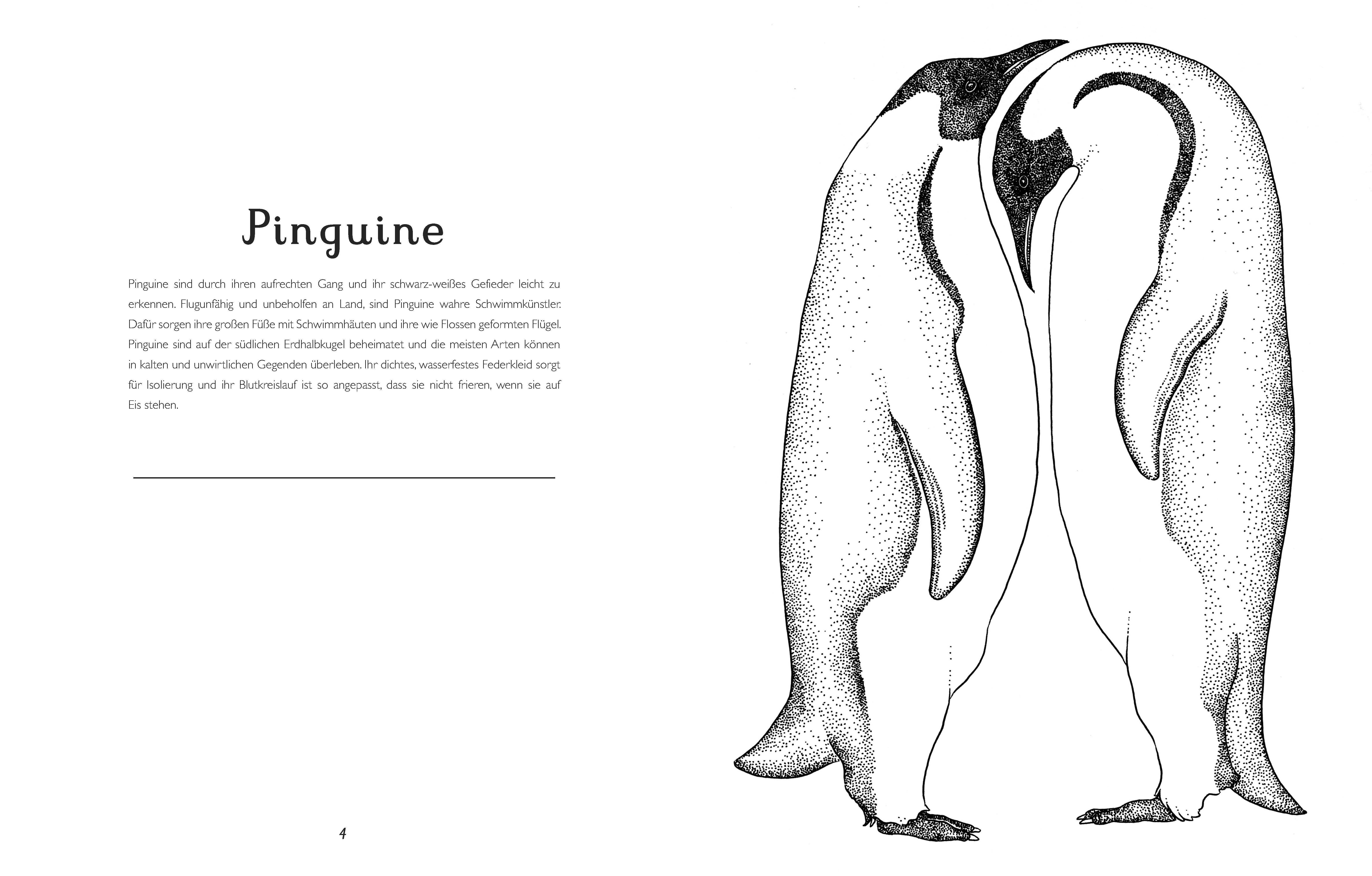 Beispielinhalt (Bild) Das Museum der Tiere. Mein Malbuch