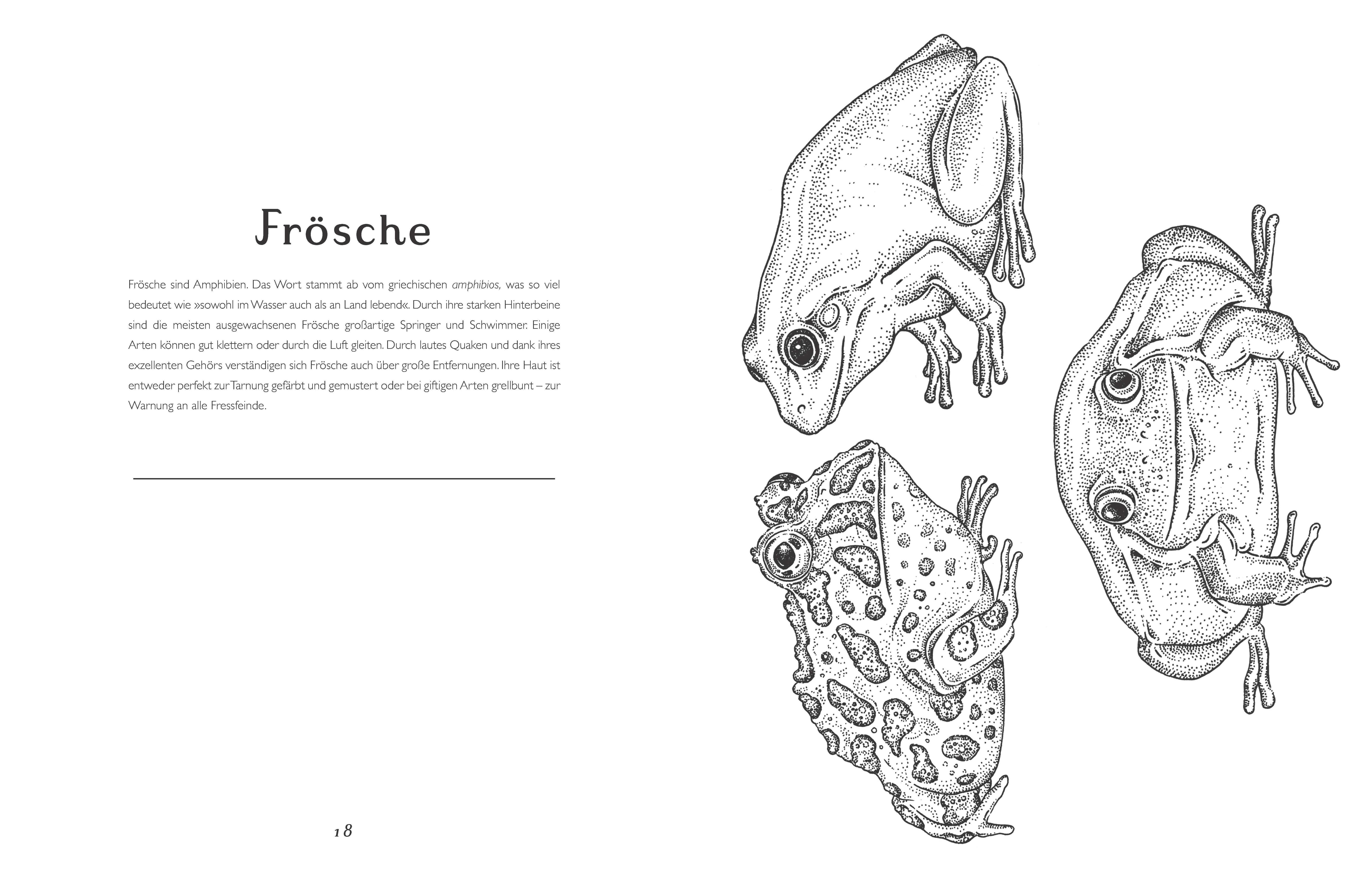 Beispielinhalt (Bild) Das Museum der Tiere. Mein Malbuch