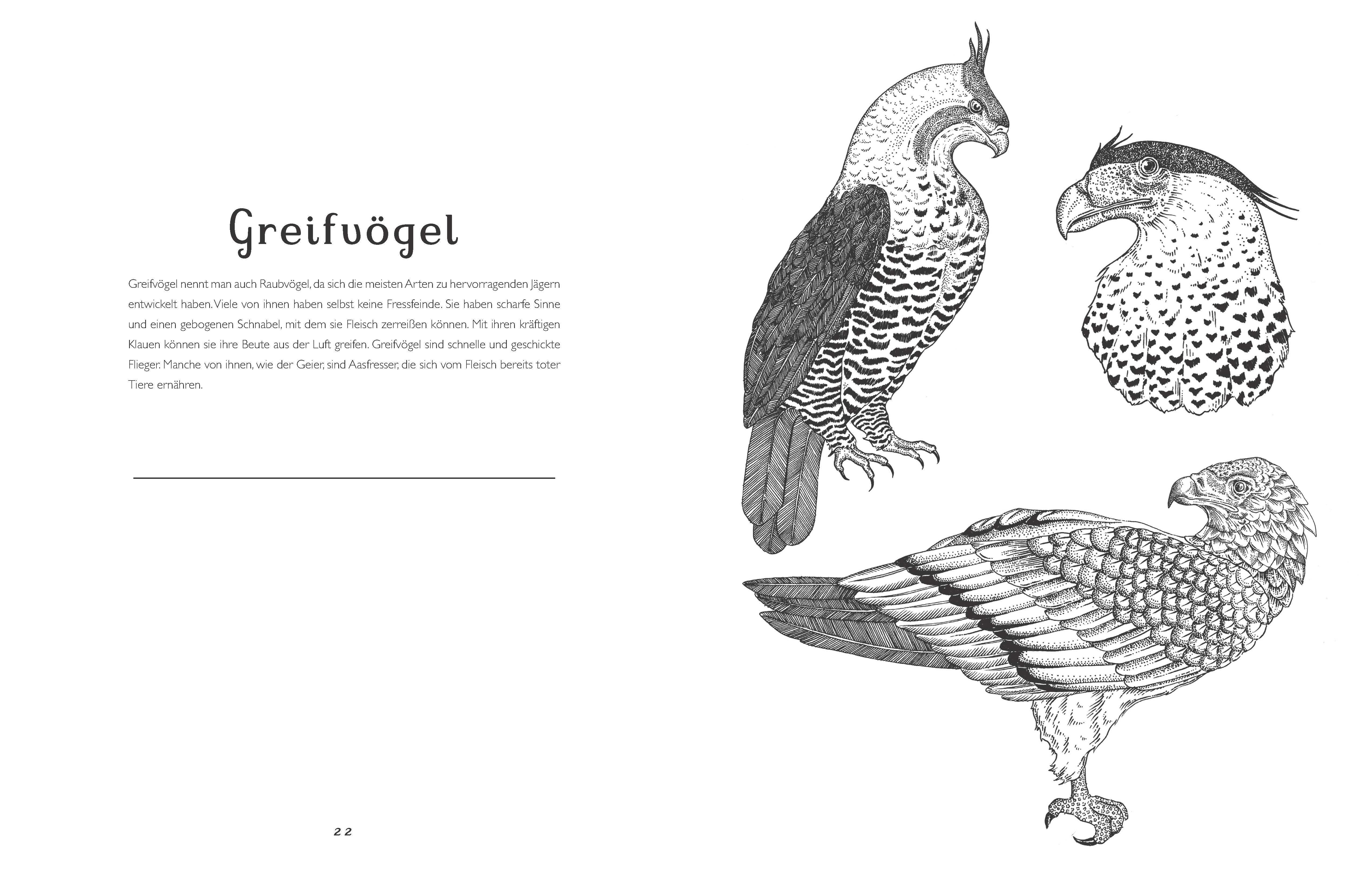 Beispielinhalt (Bild) Das Museum der Tiere. Mein Malbuch