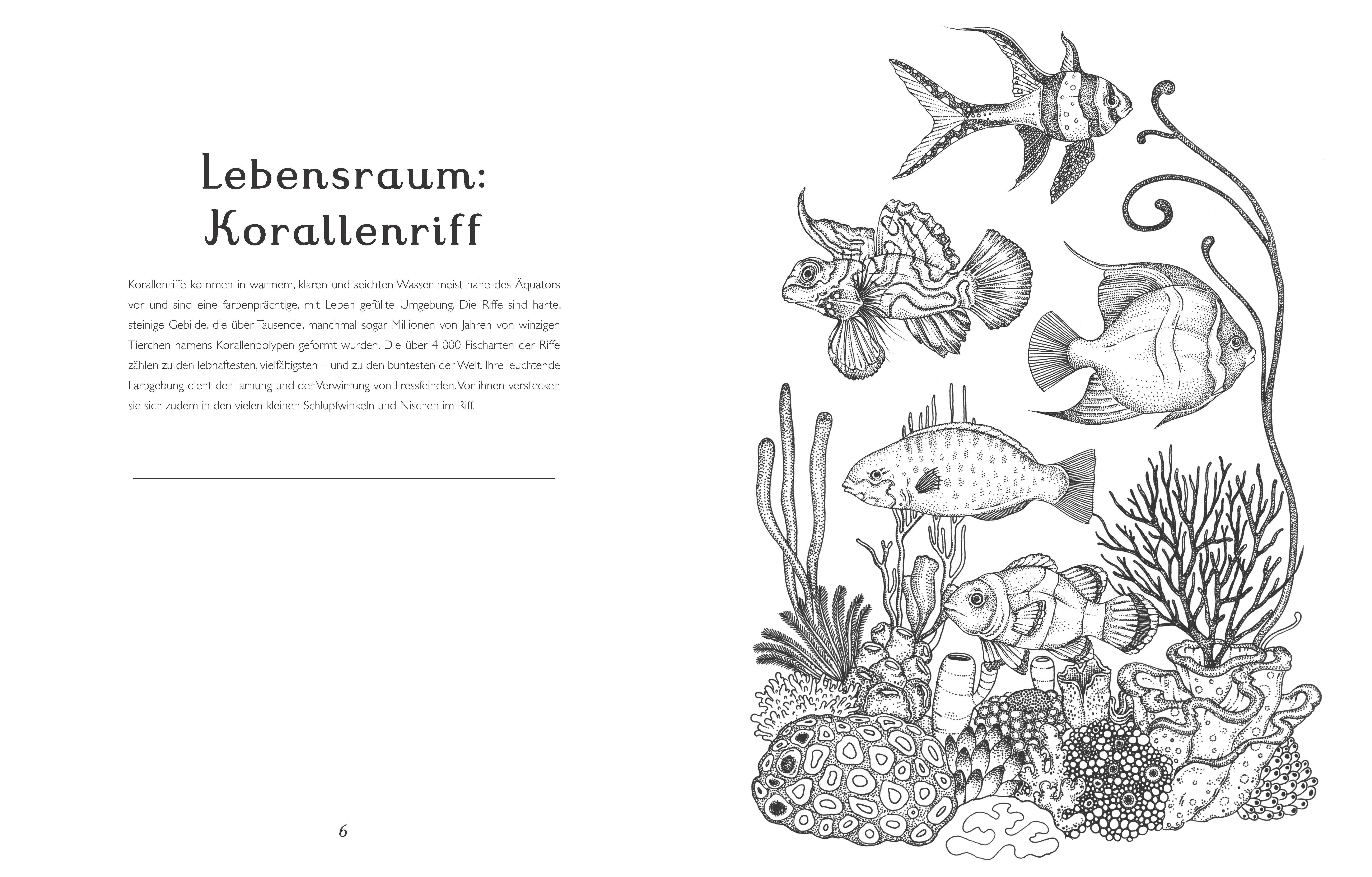 Beispielinhalt (Bild) Das Museum der Tiere. Mein Malbuch