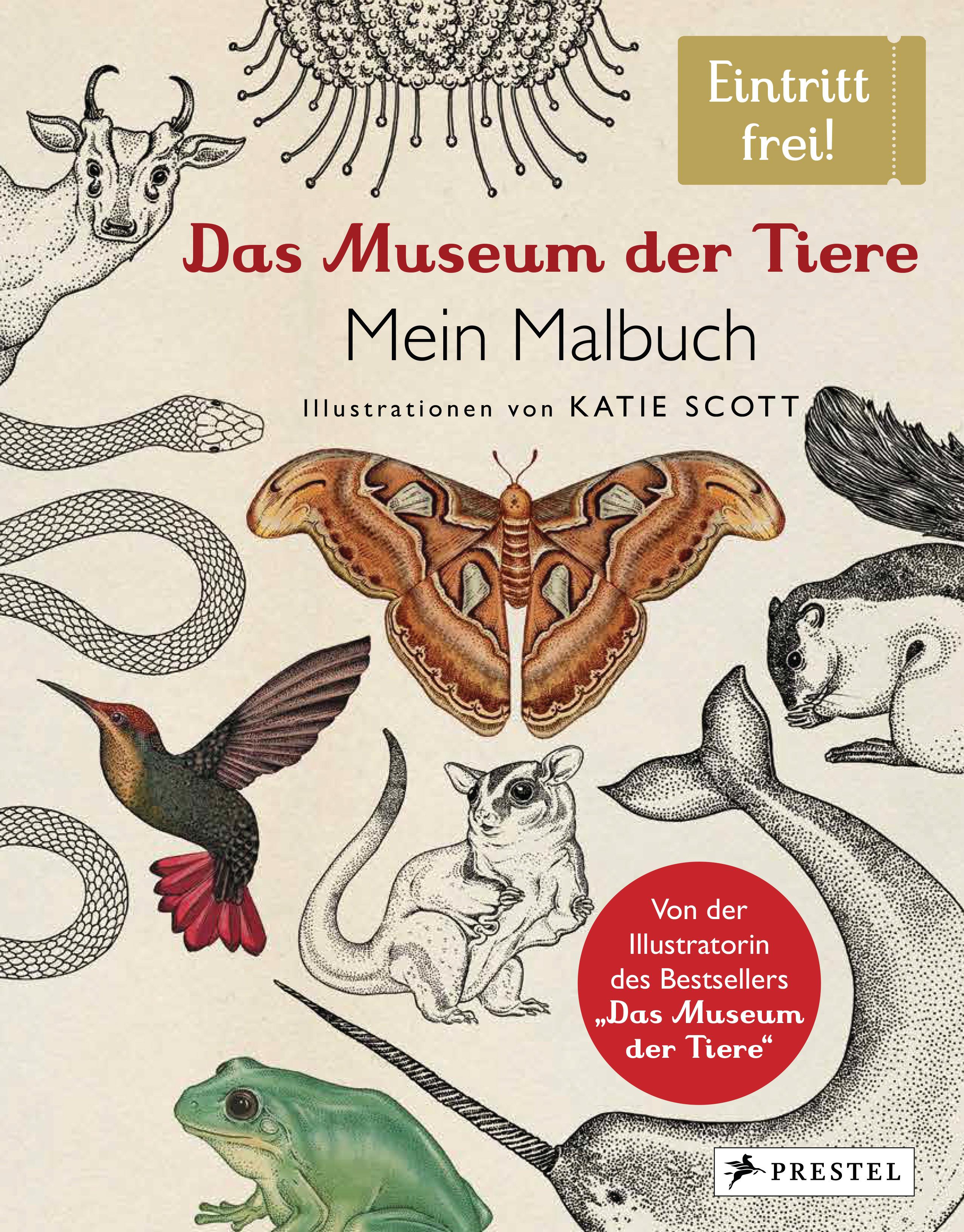 Vorderes Coverbild Das Museum der Tiere. Mein Malbuch