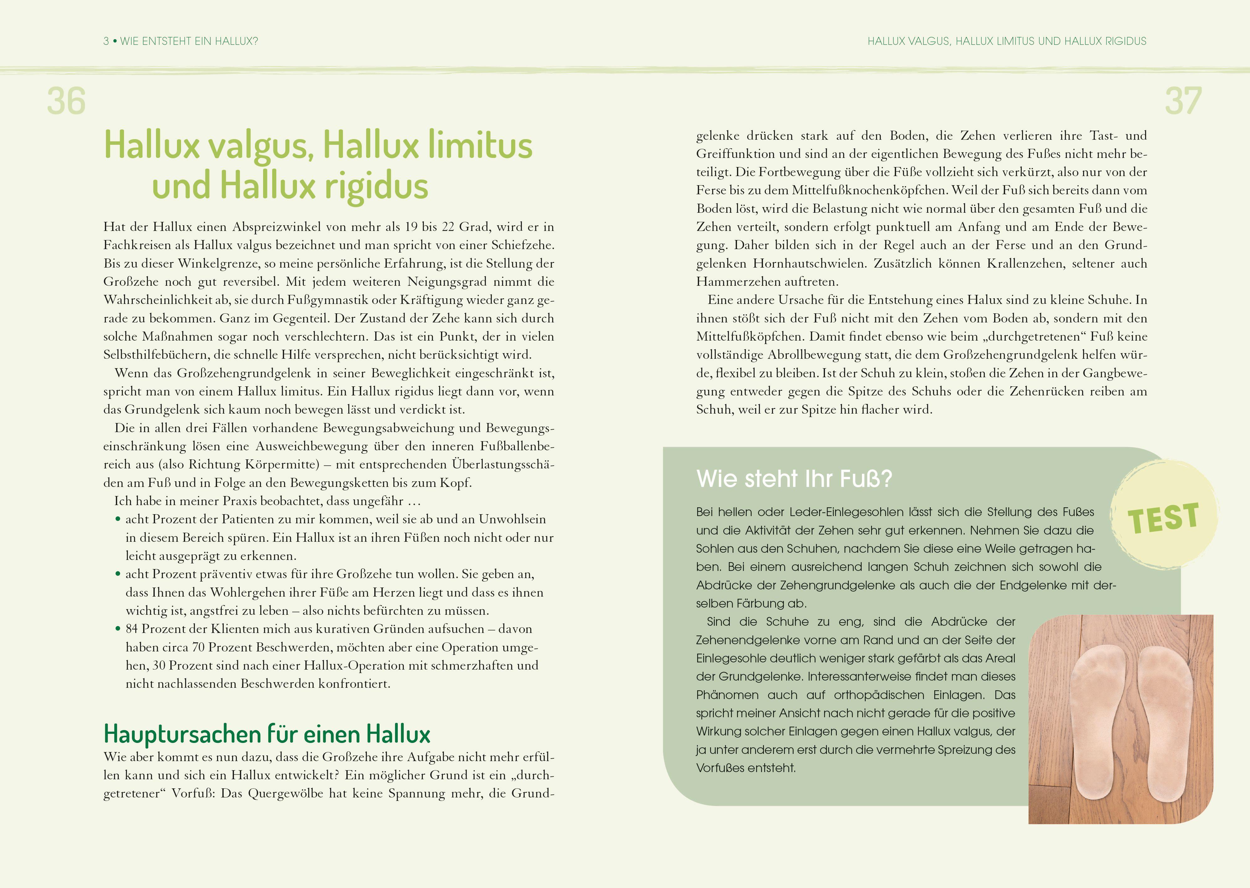 Beispielinhalt (Bild) Das Buch für den Hallux - Füße gut, alles gut