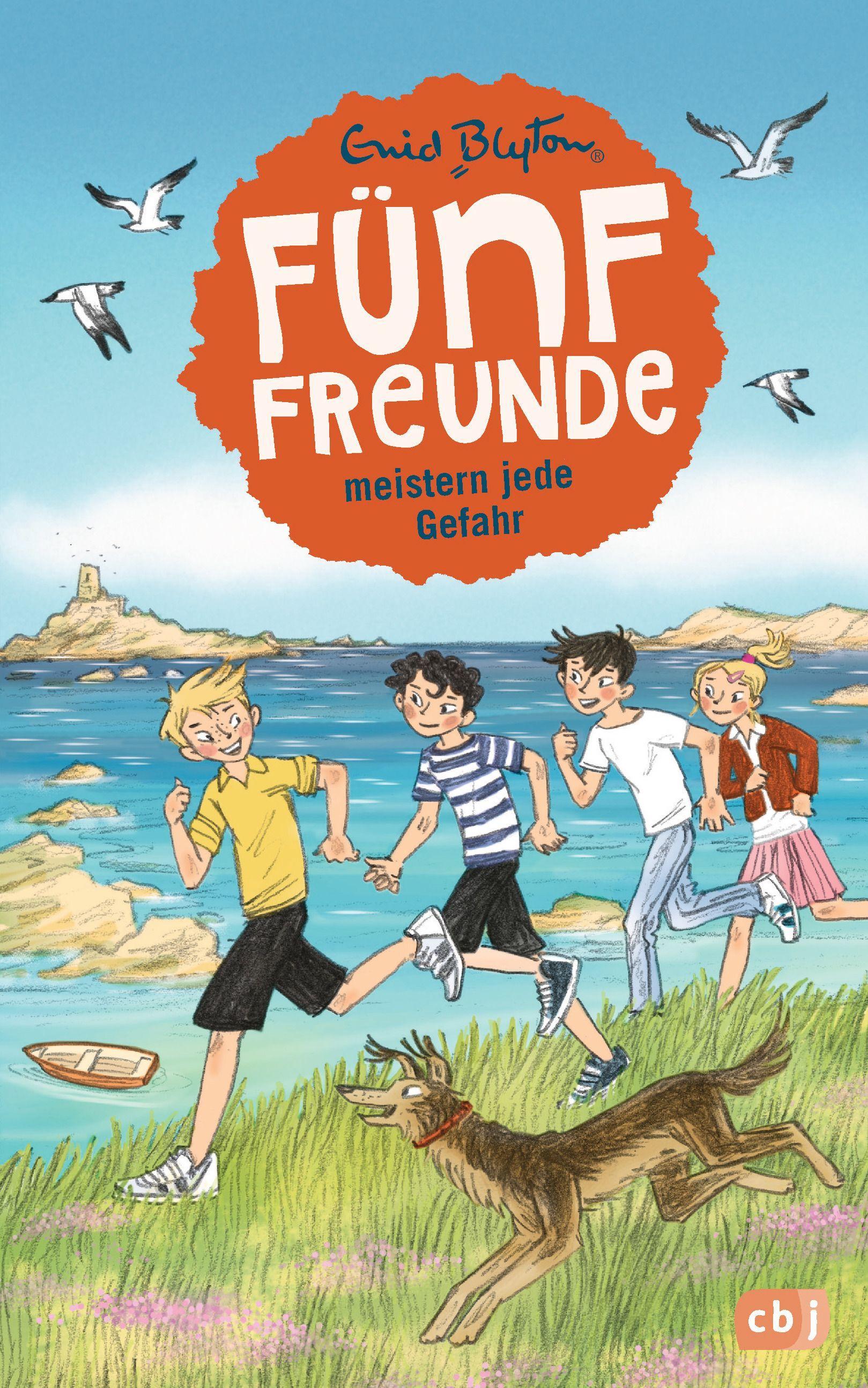 Vorderes Coverbild Fünf Freunde meistern jede Gefahr
