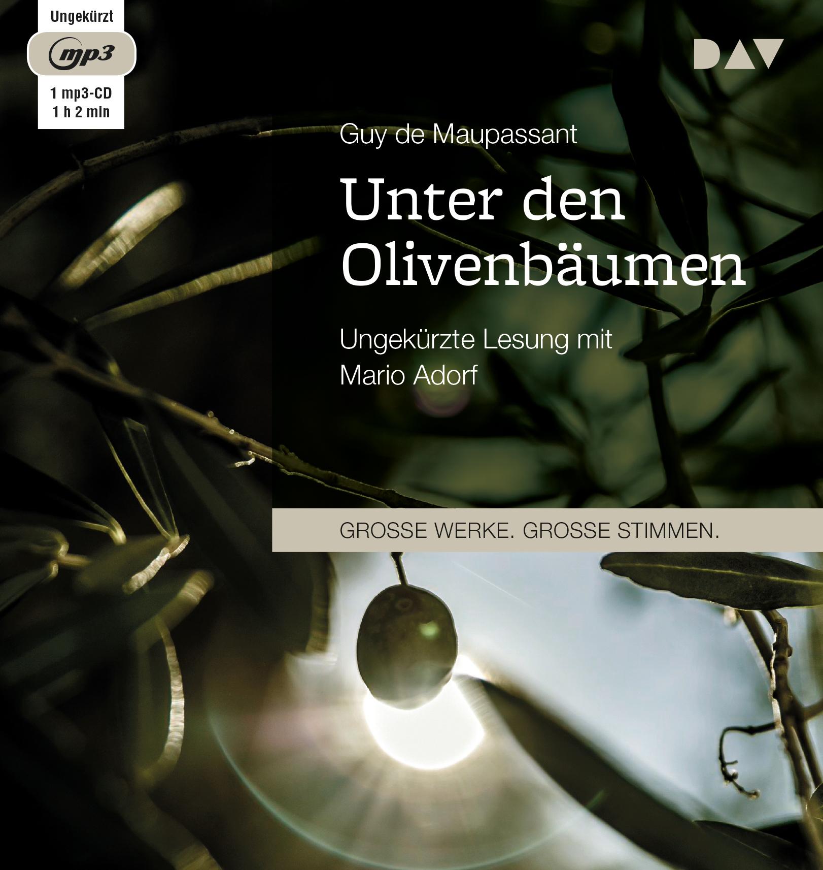 Vorderes Coverbild Unter den Olivenbäumen