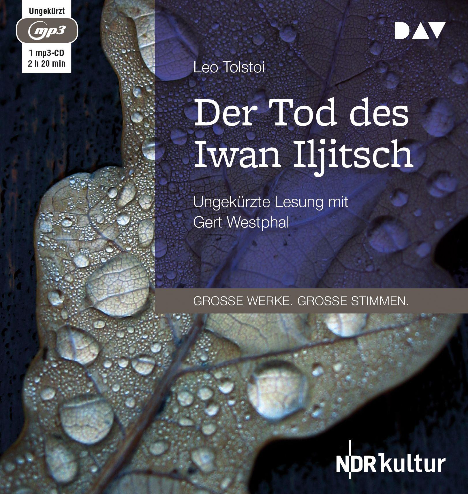 Vorderes Coverbild Der Tod des Iwan Iljitsch